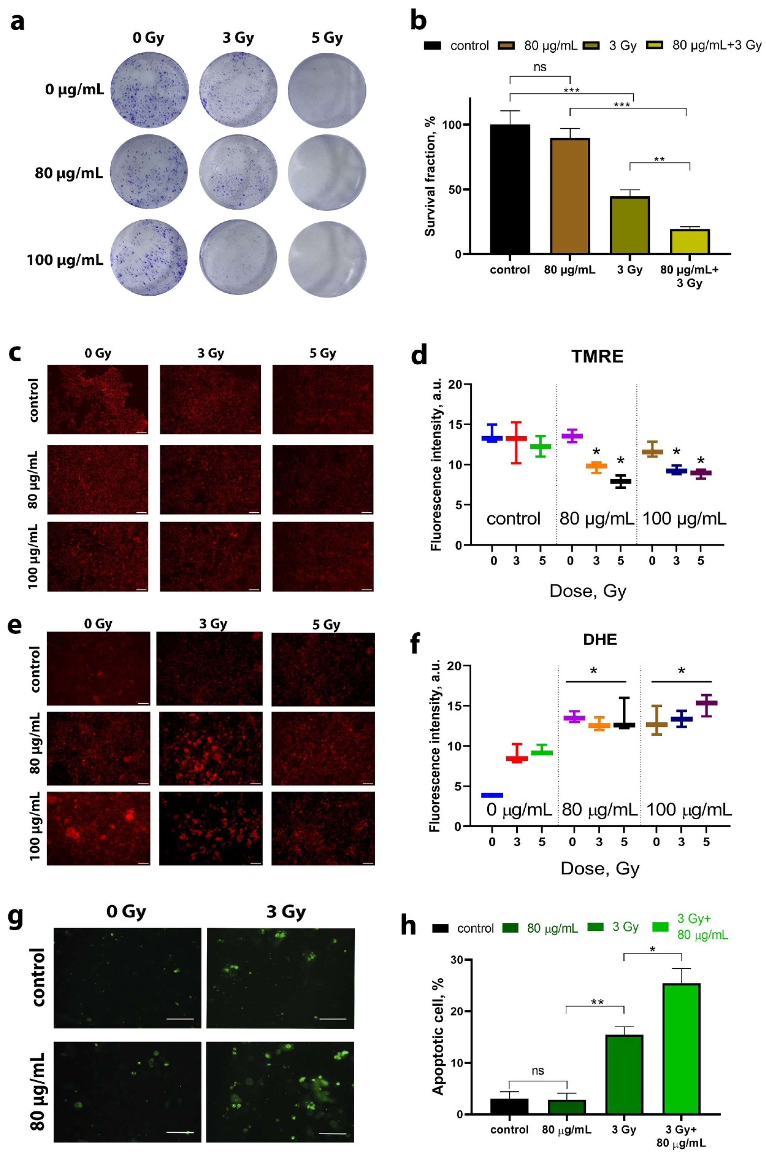 Molecules 29 03936 g003