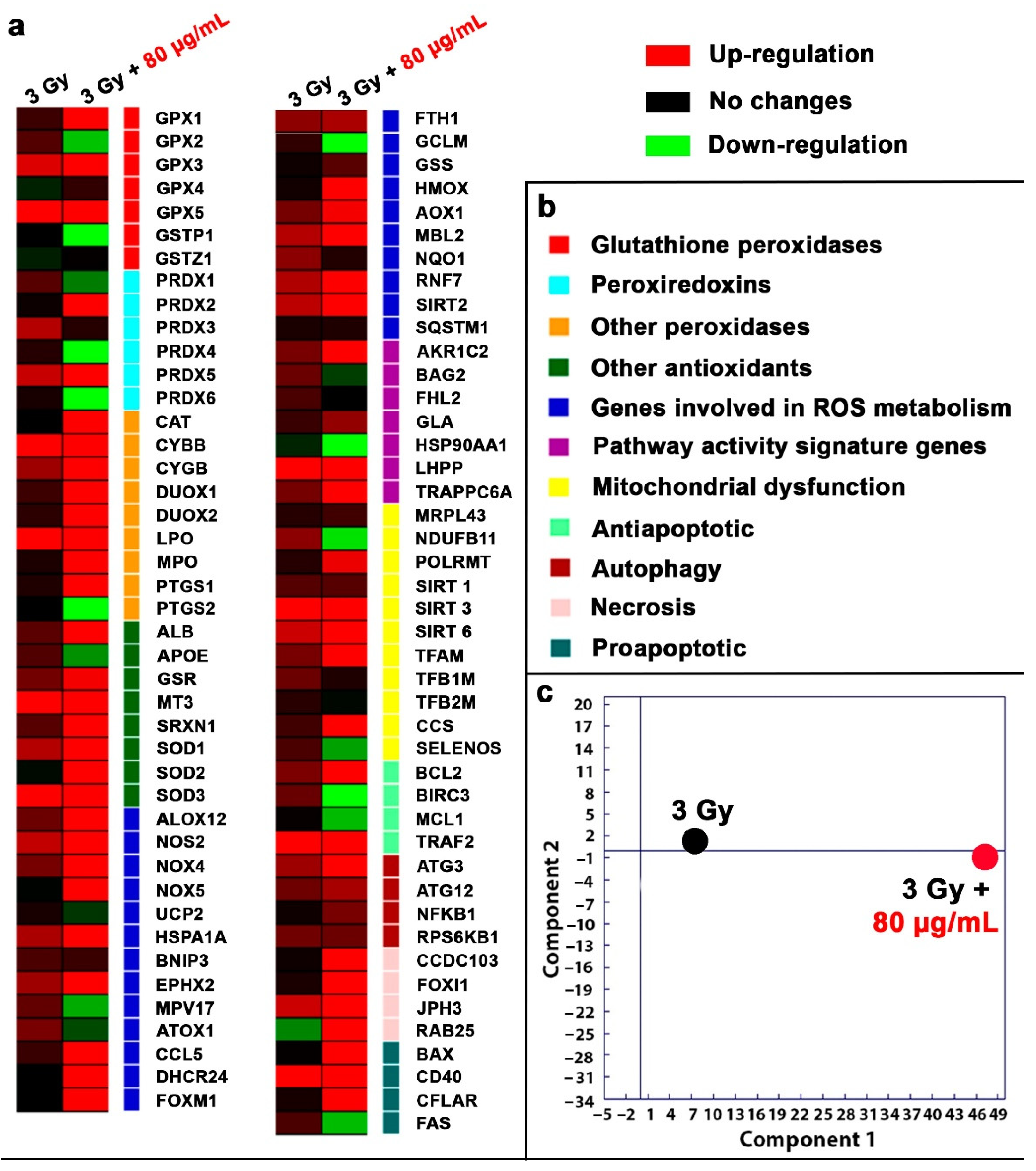 Molecules 29 03936 g004