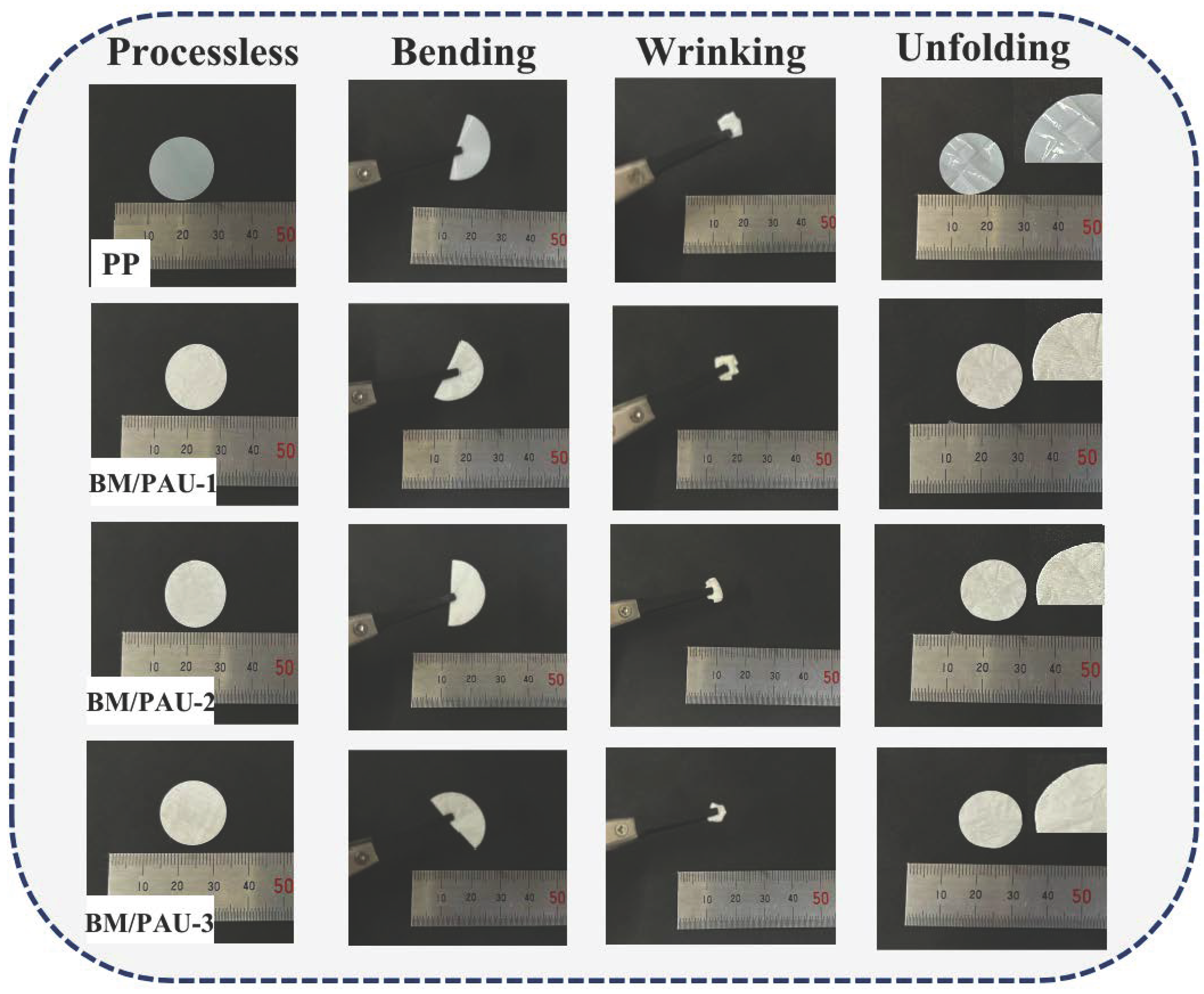 Molecules 29 03938 g005