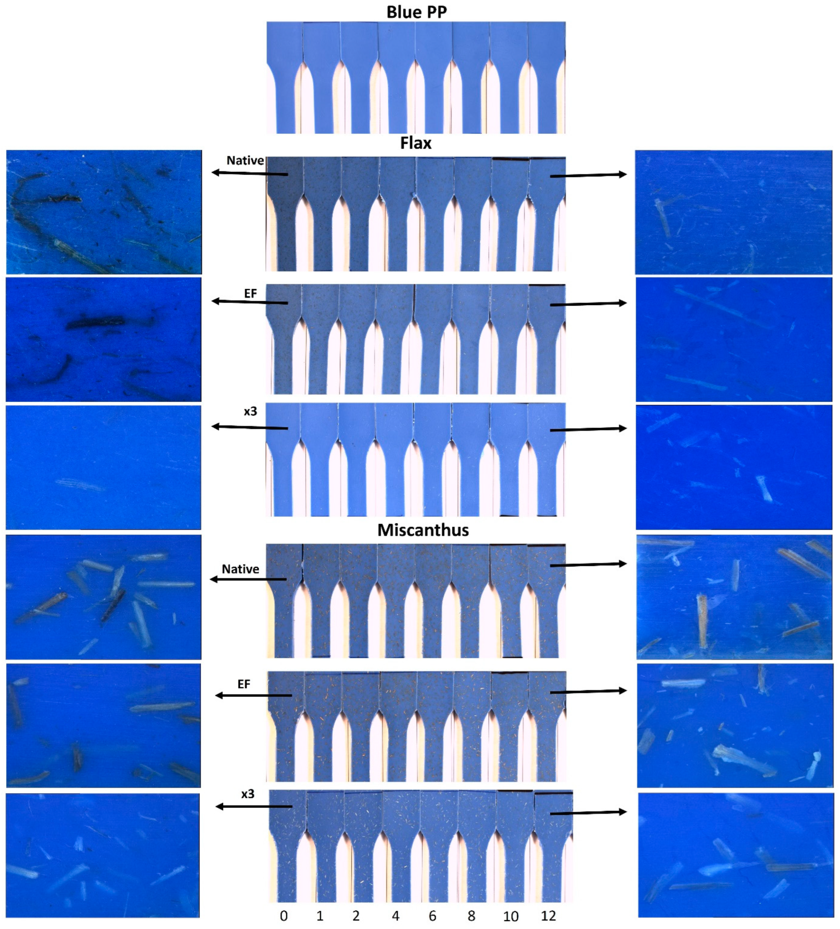 Molecules 29 03945 g008