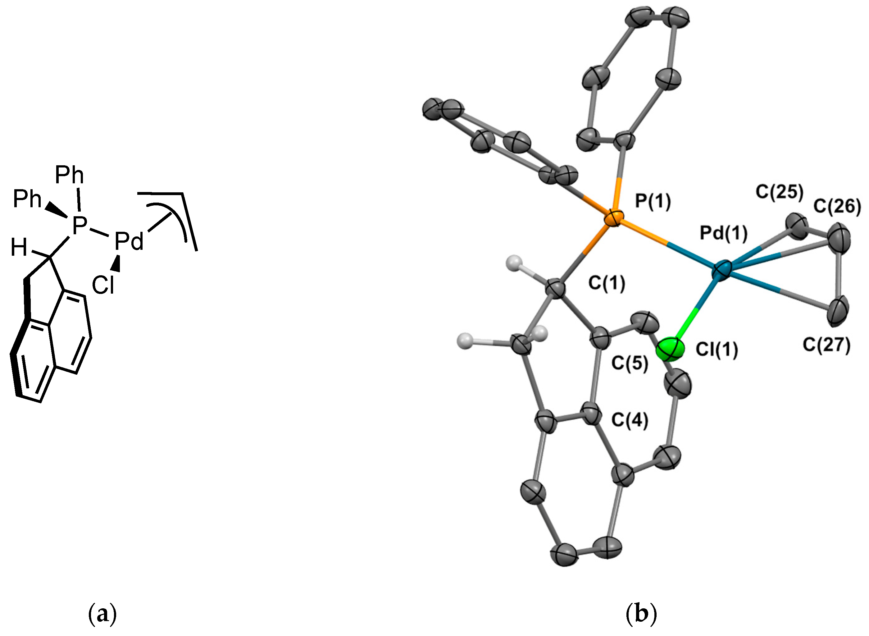 Molecules 29 03946 g007
