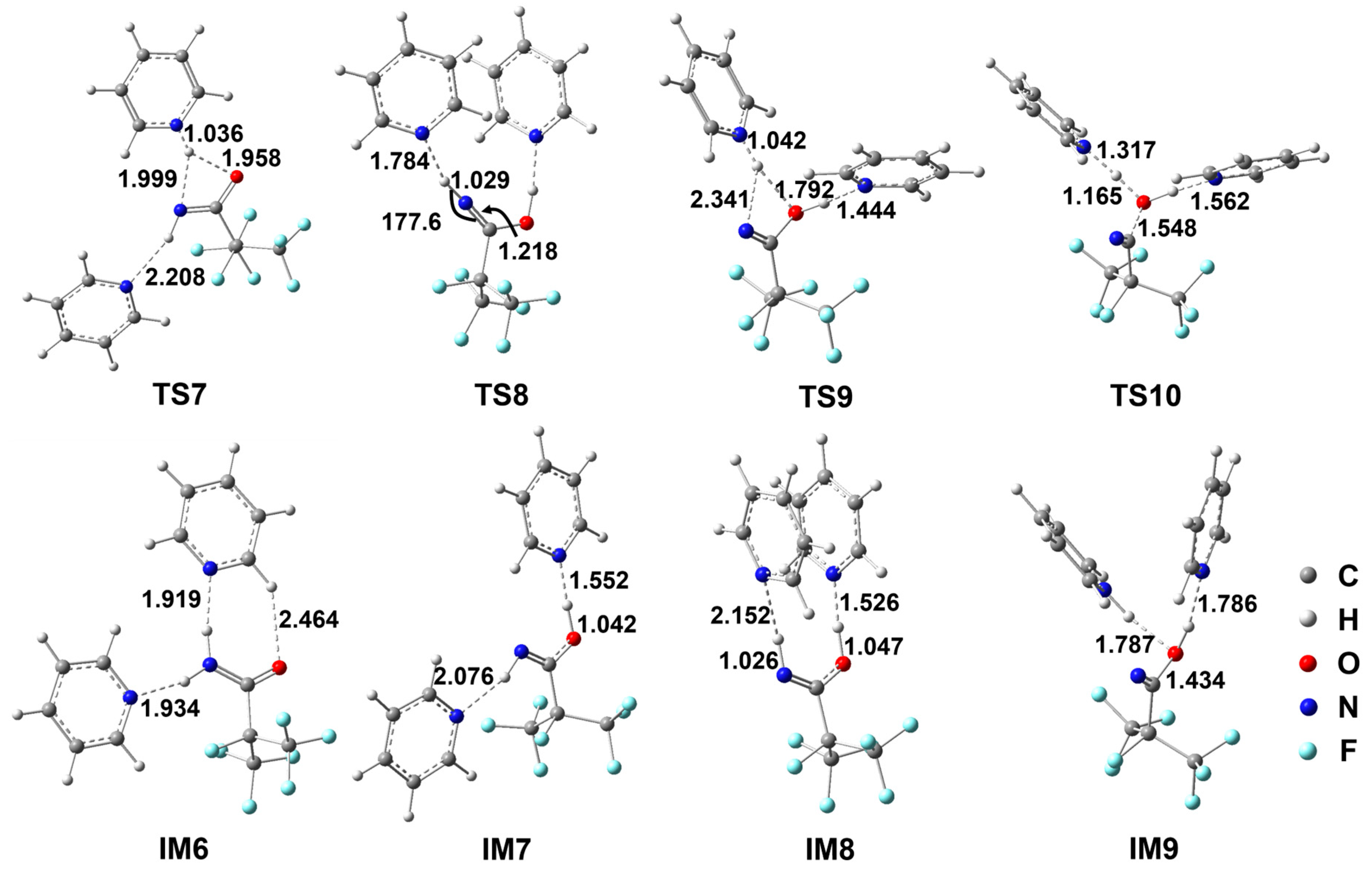 Molecules 29 03952 g002