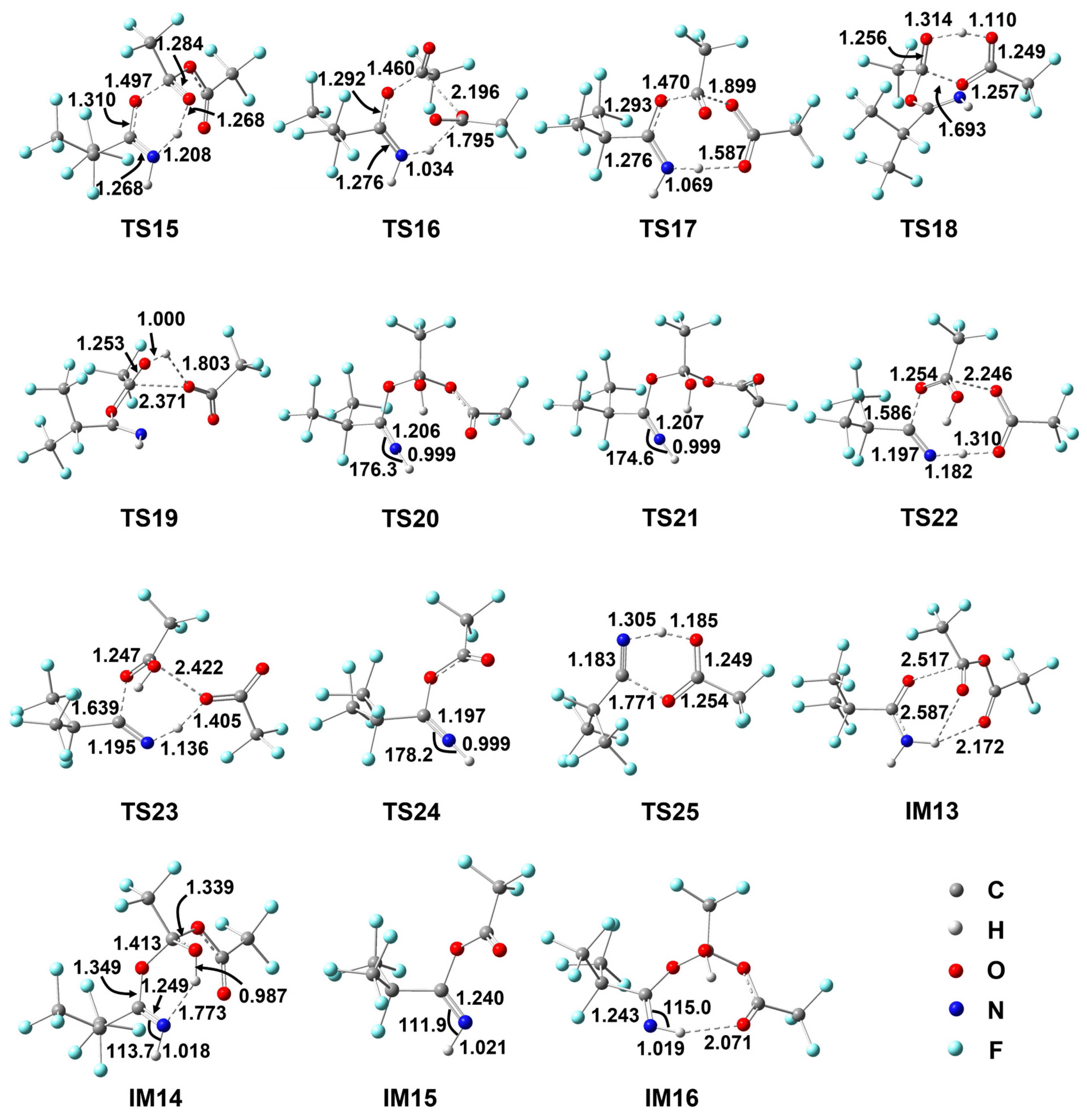 Molecules 29 03952 g003