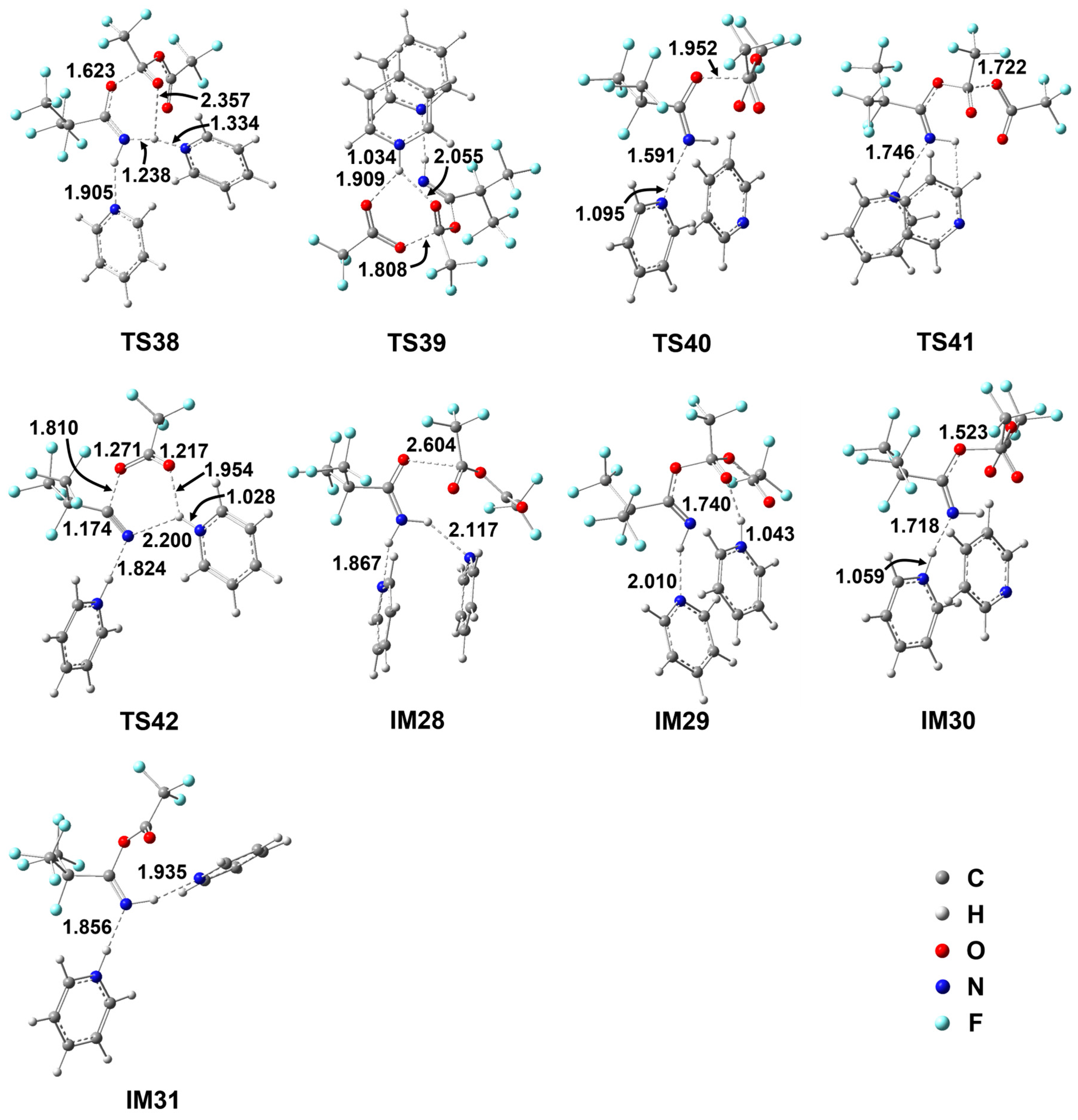 Molecules 29 03952 g006