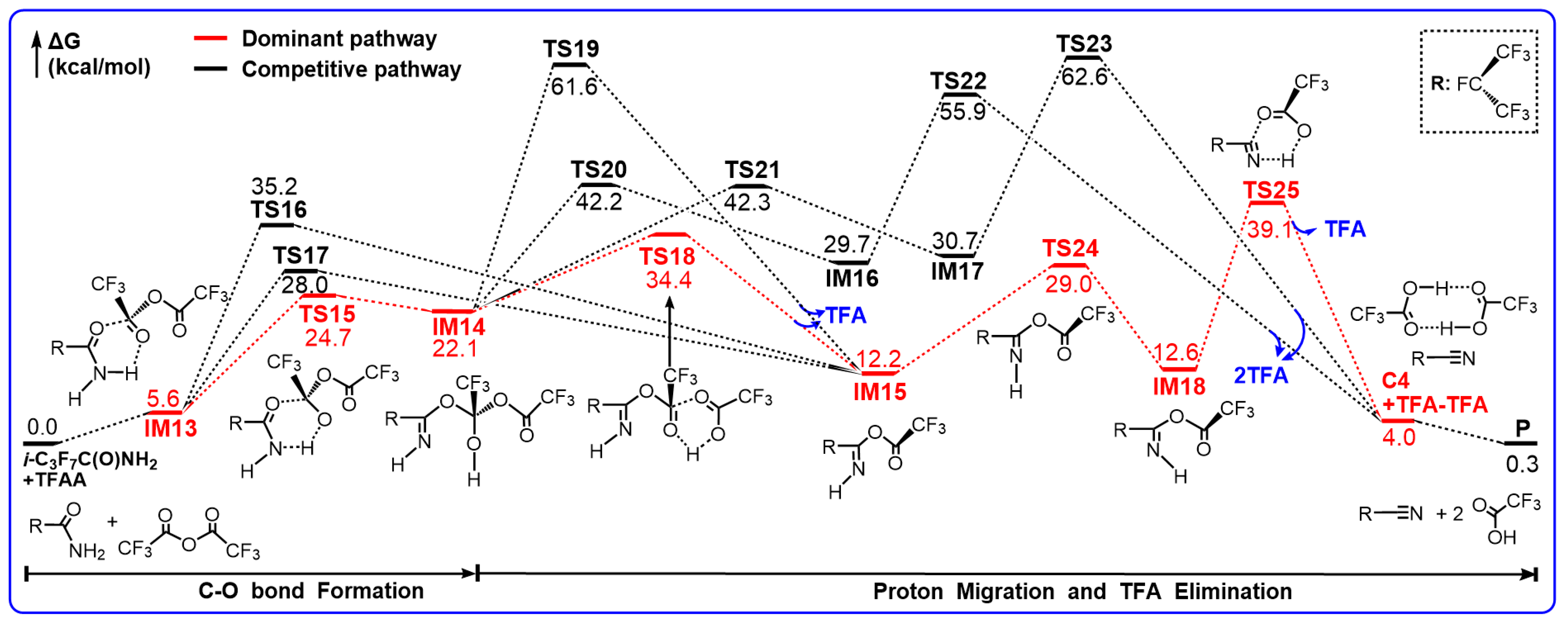 Molecules 29 03952 sch004