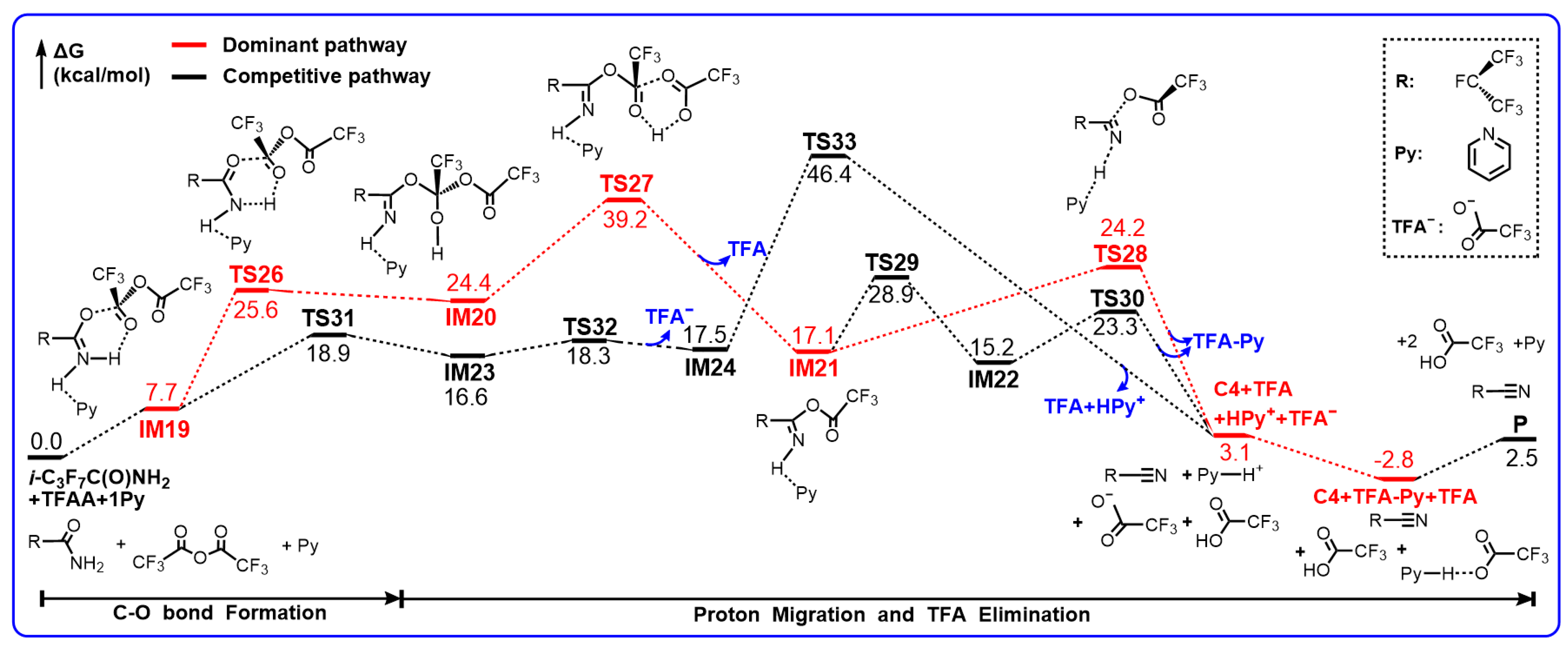 Molecules 29 03952 sch005
