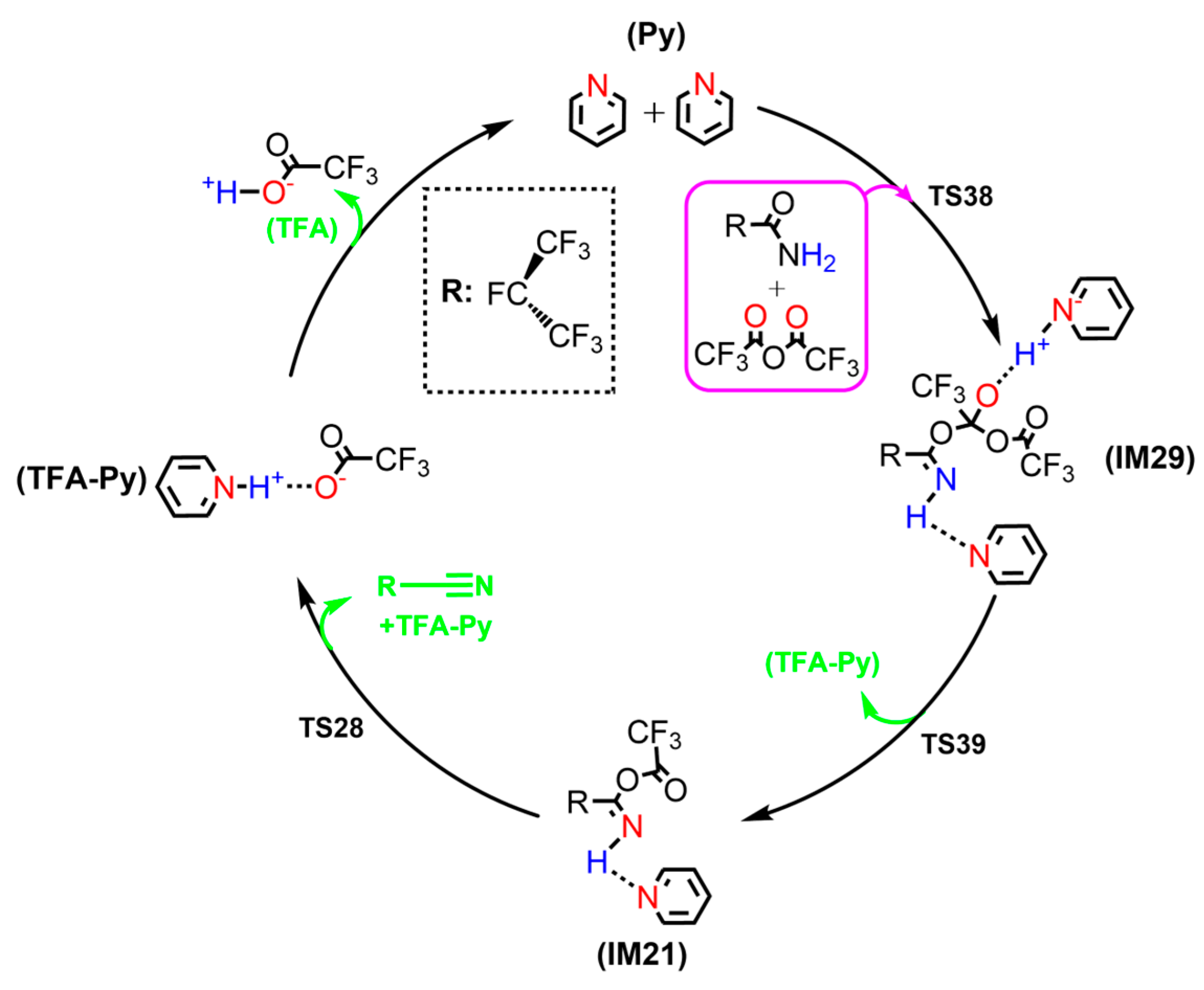 Molecules 29 03952 sch008