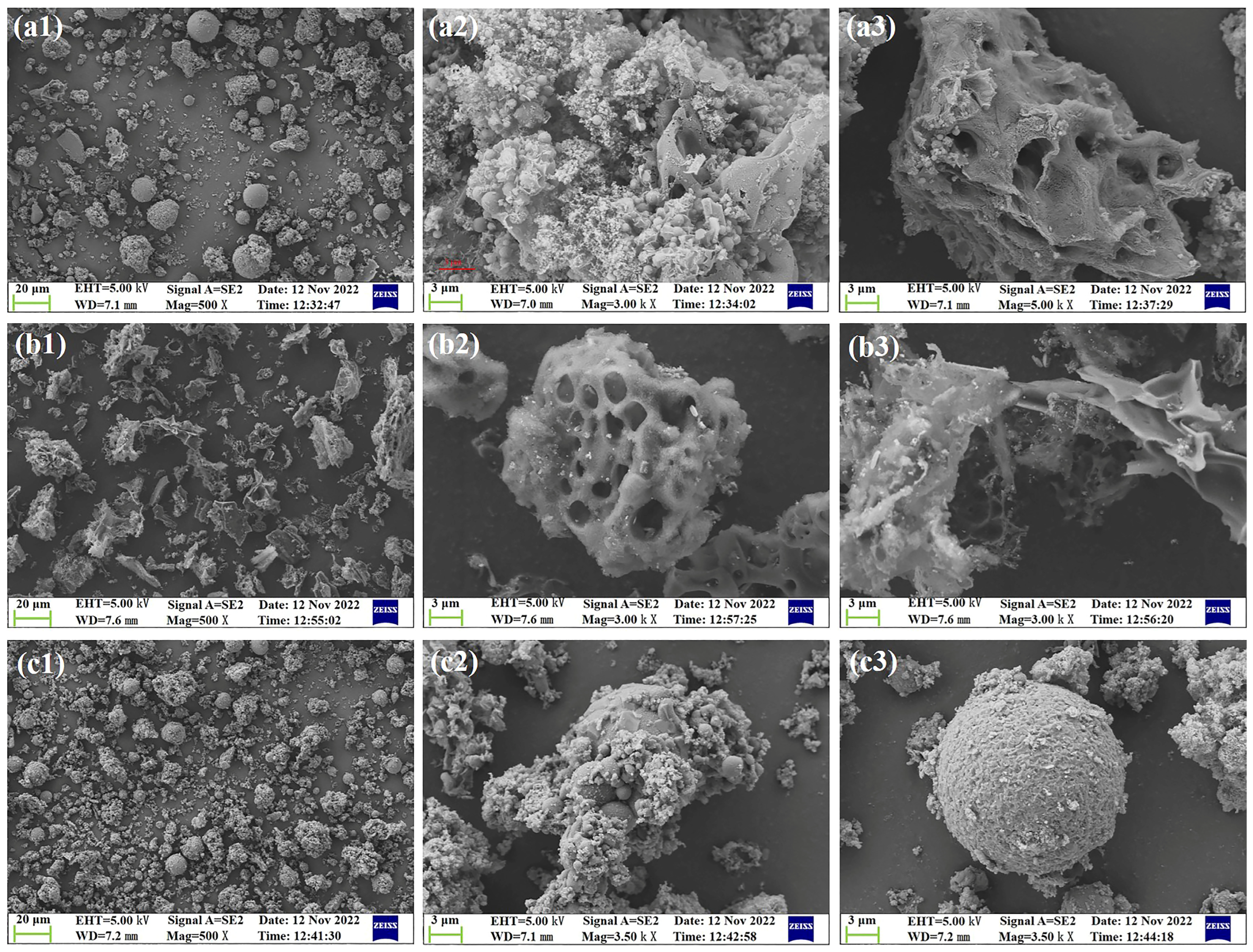 Molecules 29 03956 g003