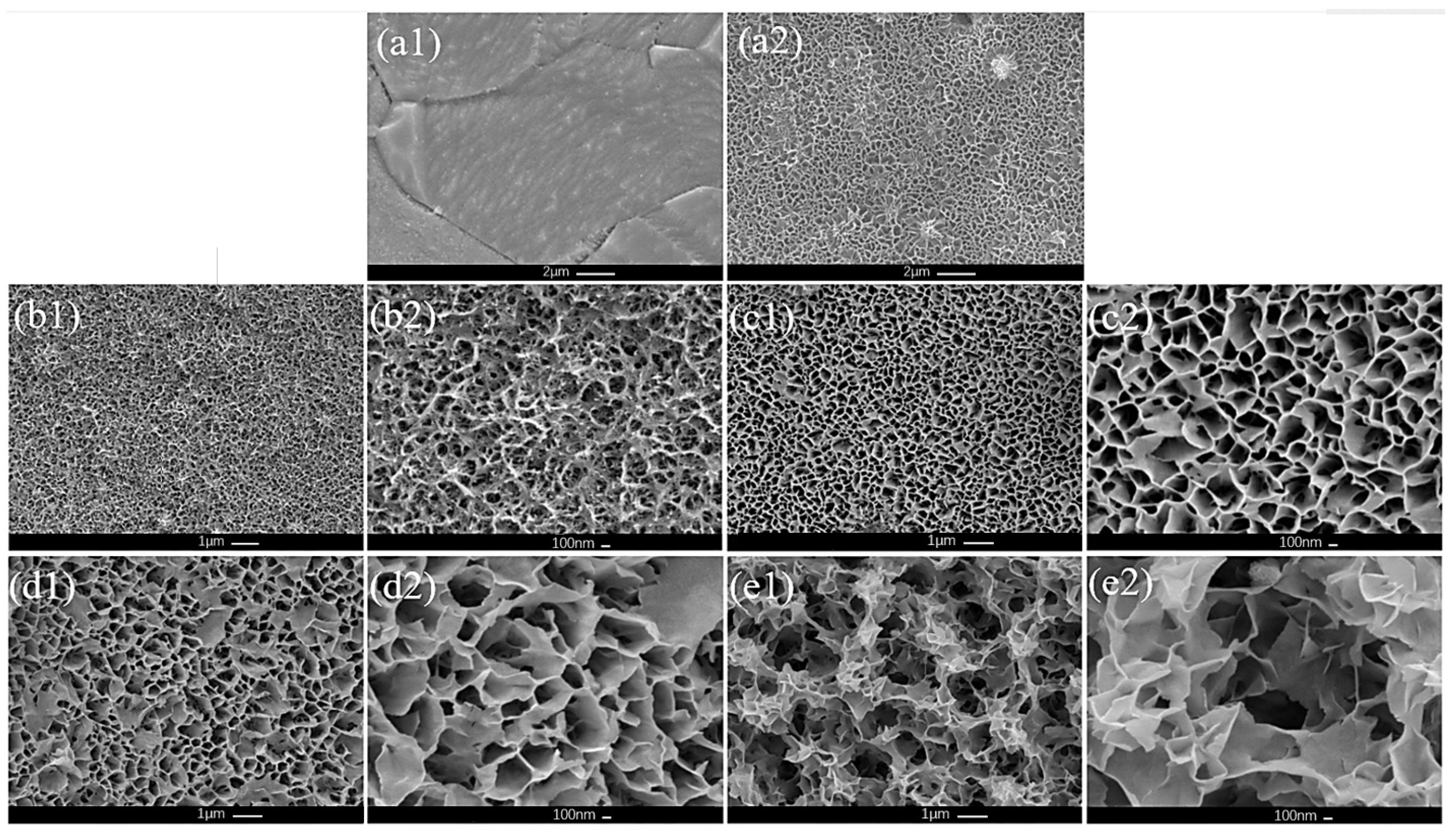 Molecules 29 03966 g001