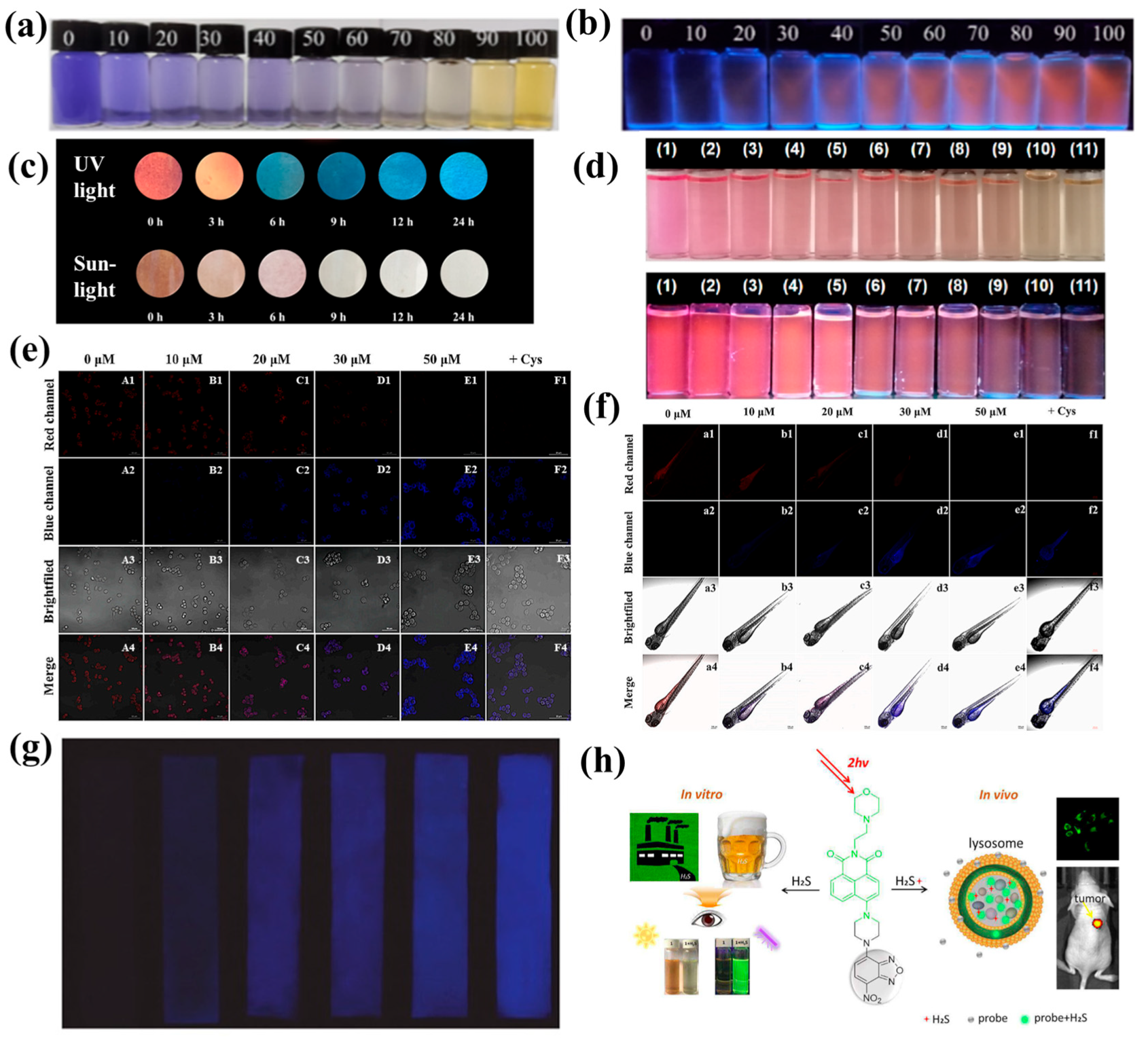 Molecules 29 03973 g004