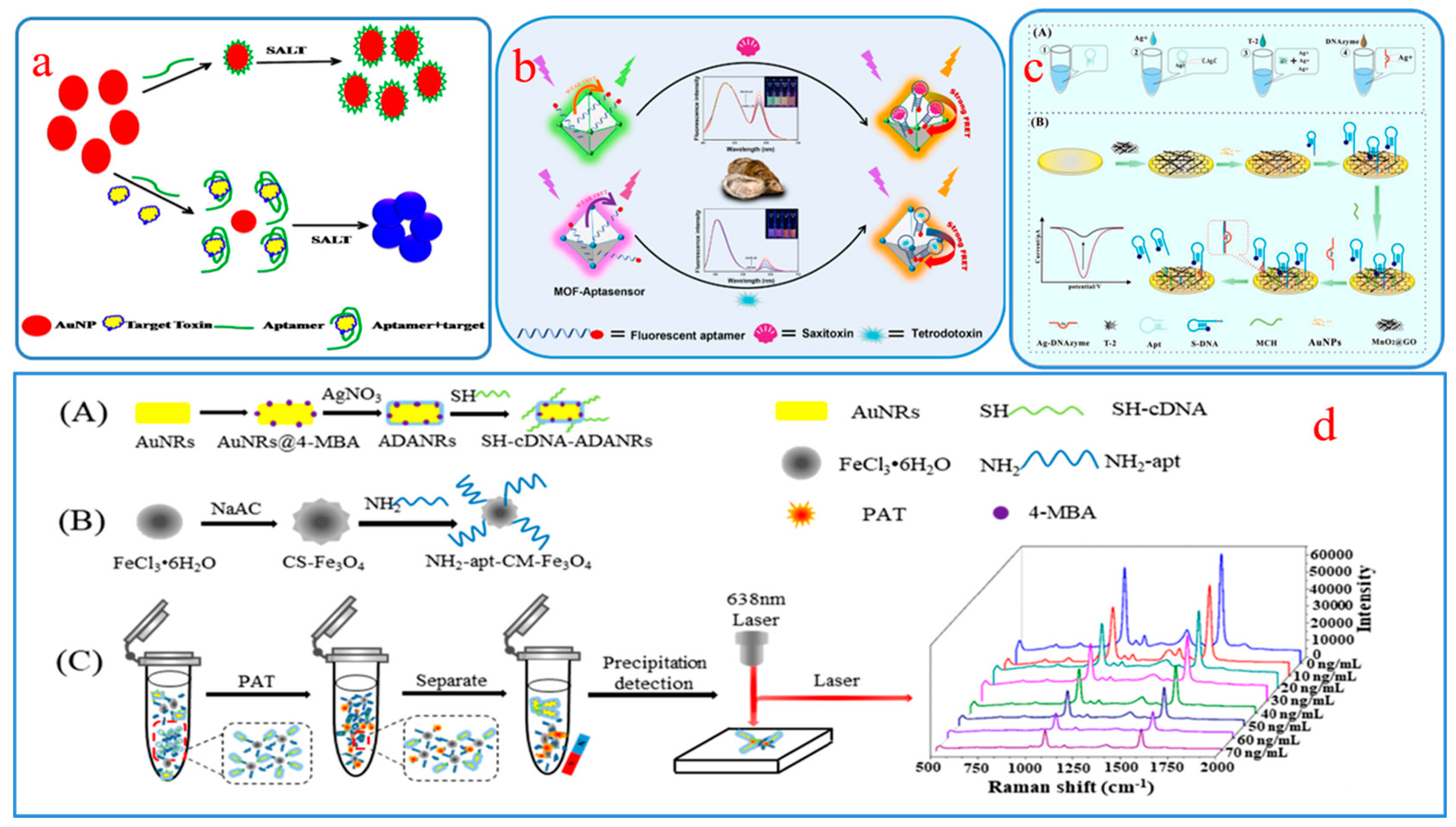 Molecules 29 03974 g001