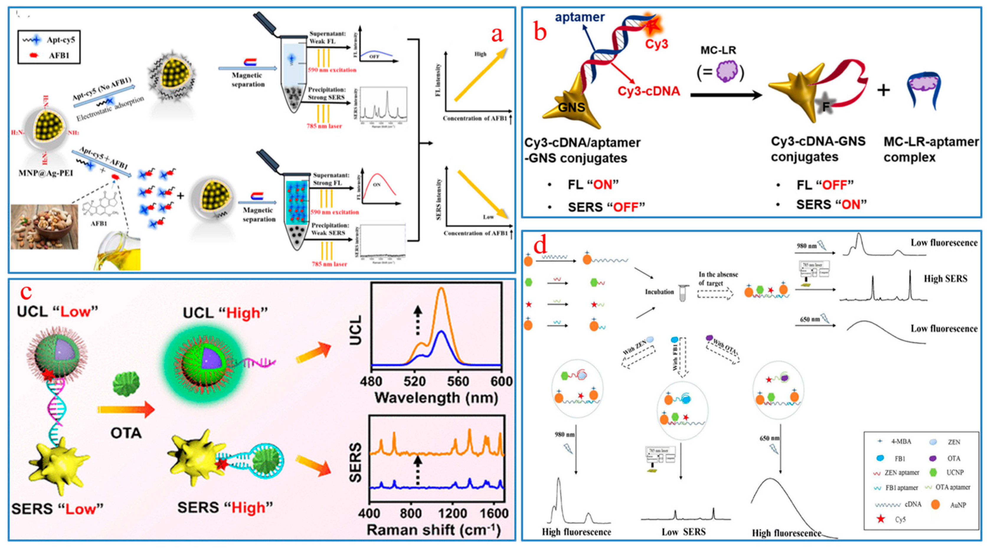 Molecules 29 03974 g003