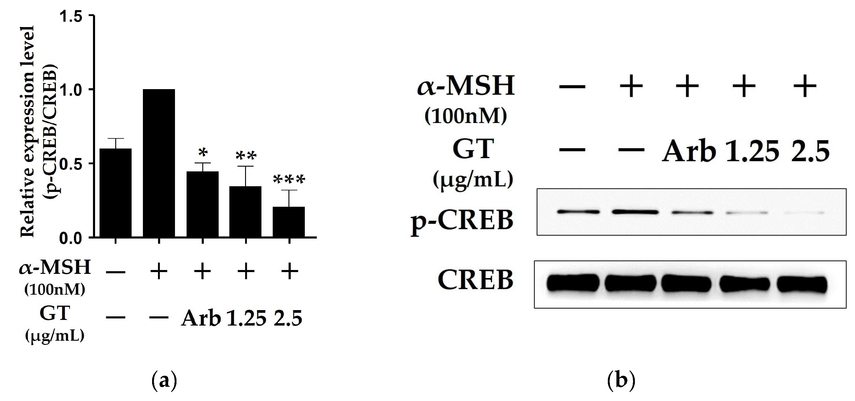 Molecules 29 03976 g003