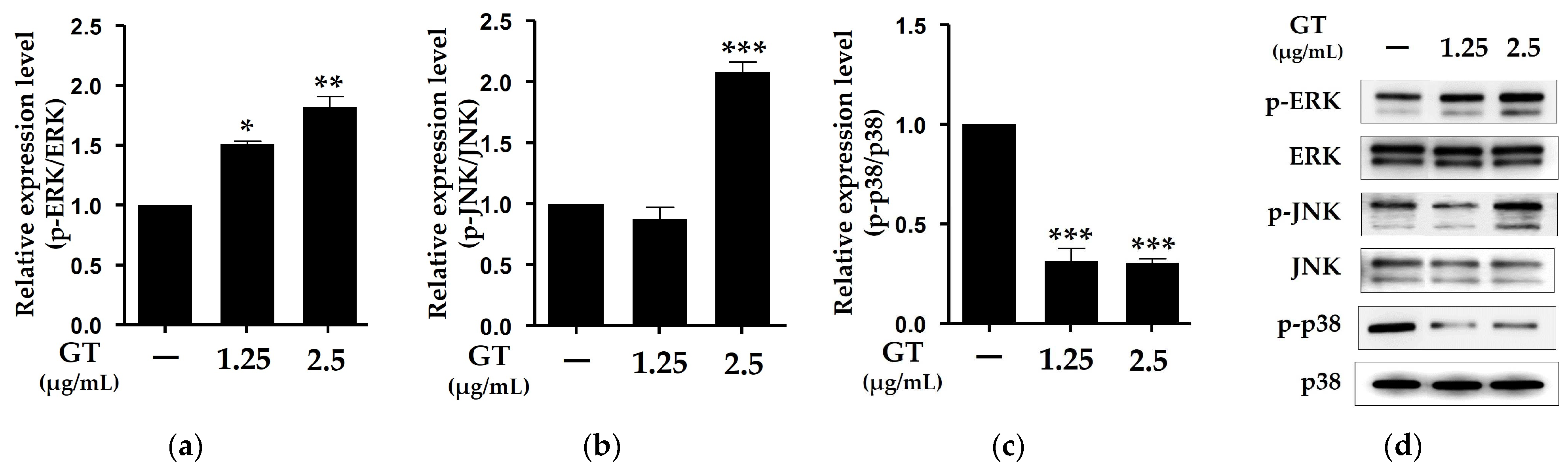 Molecules 29 03976 g004