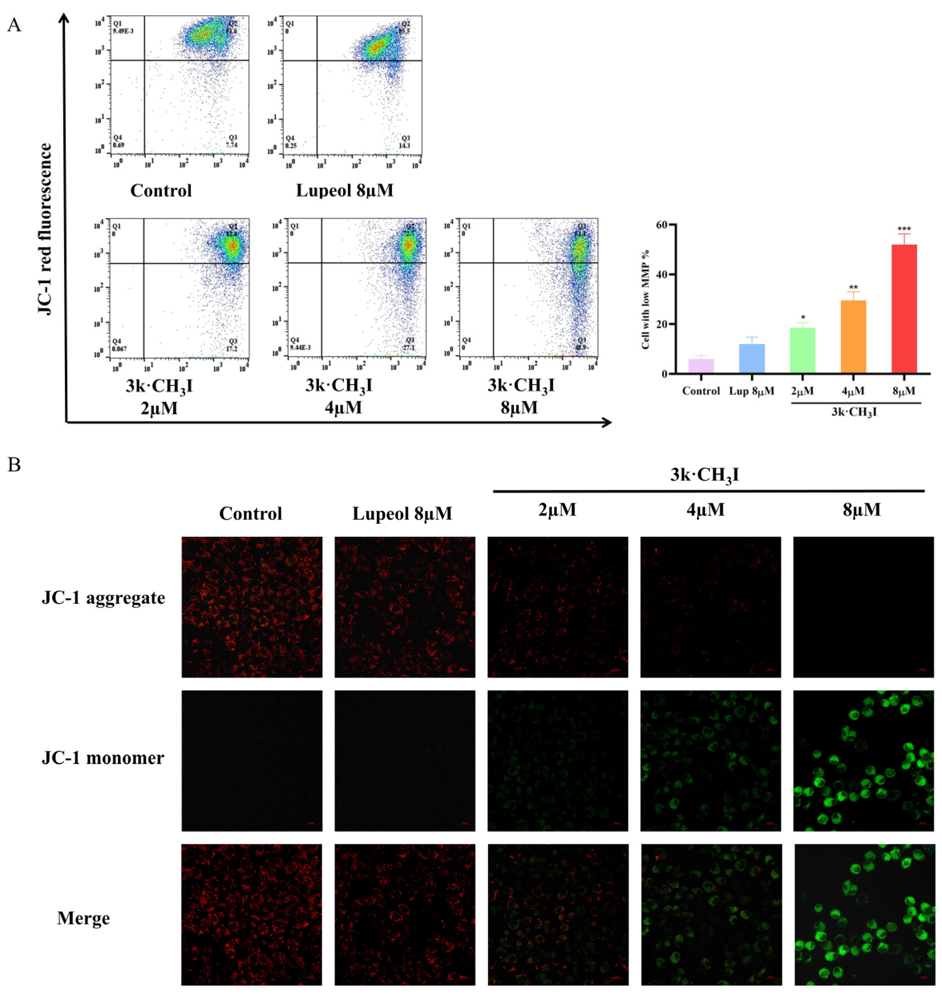 Molecules 29 03990 g008
