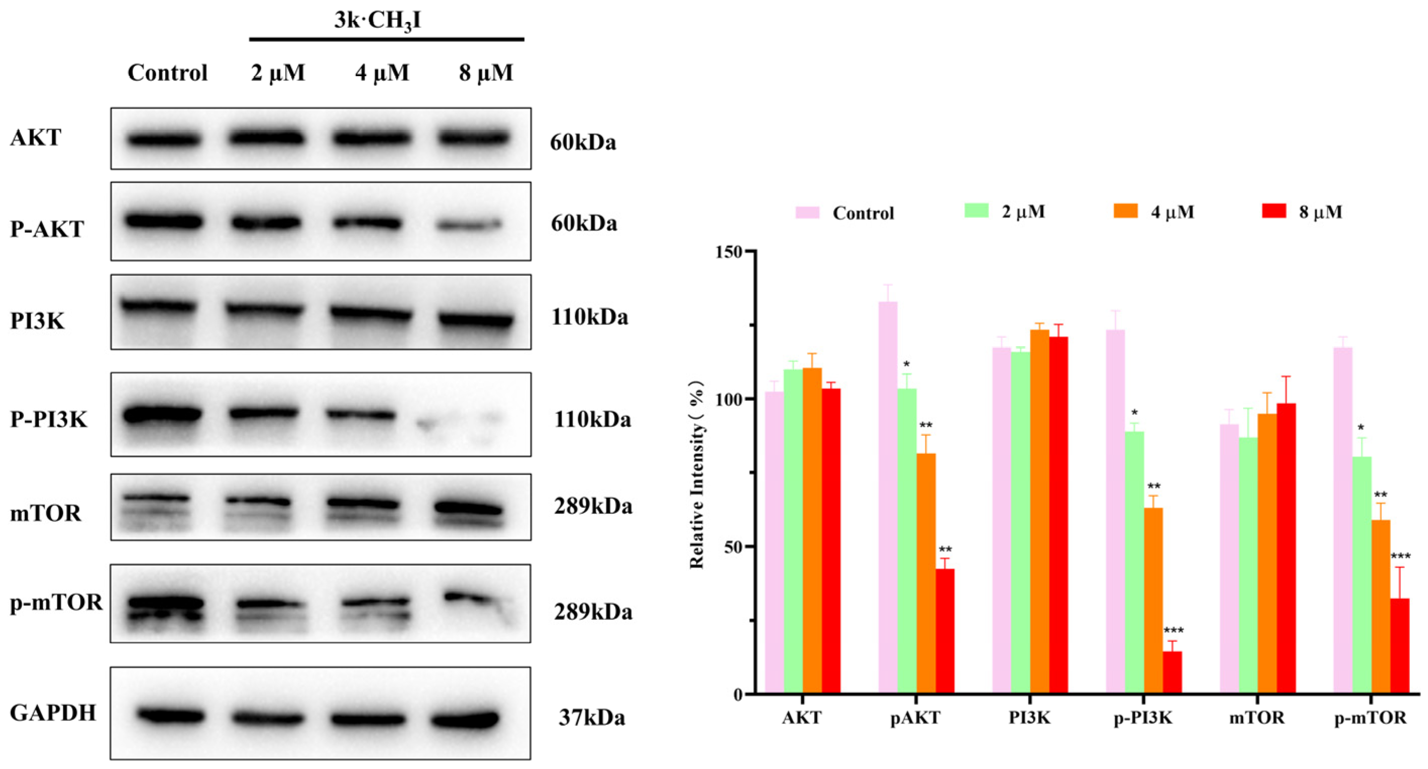 Molecules 29 03990 g009