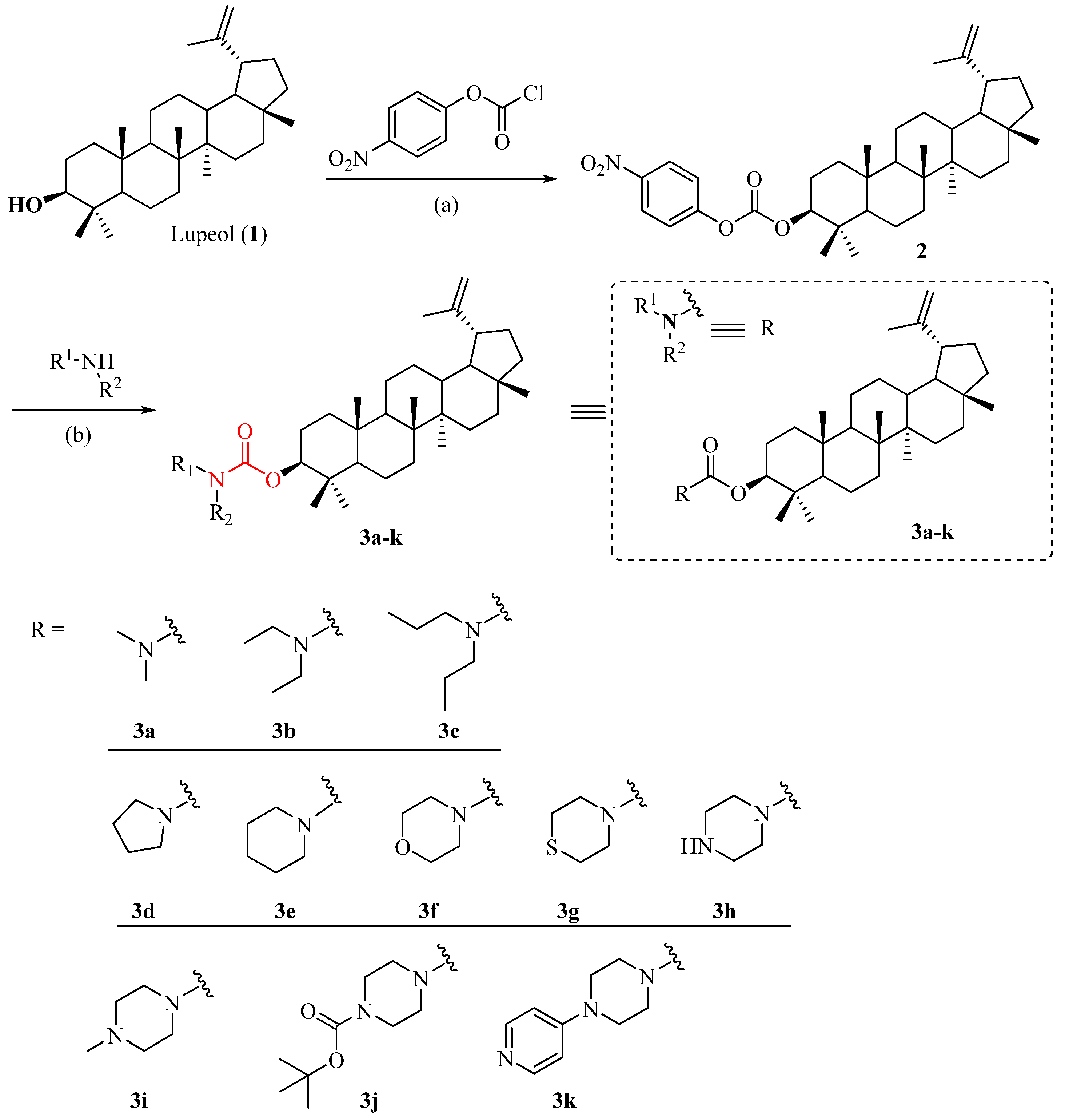 Molecules 29 03990 sch001