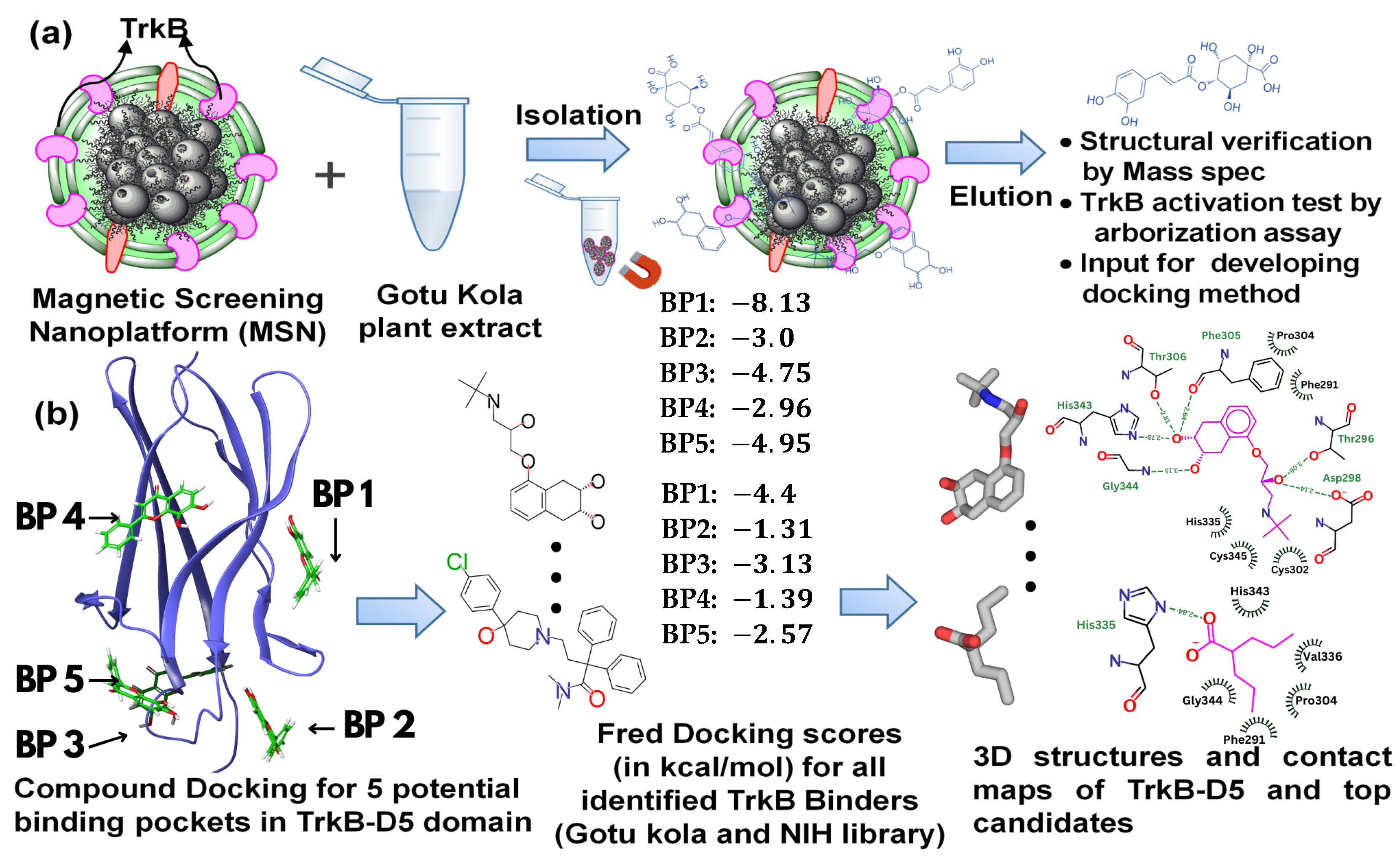 Molecules 29 03992 g001