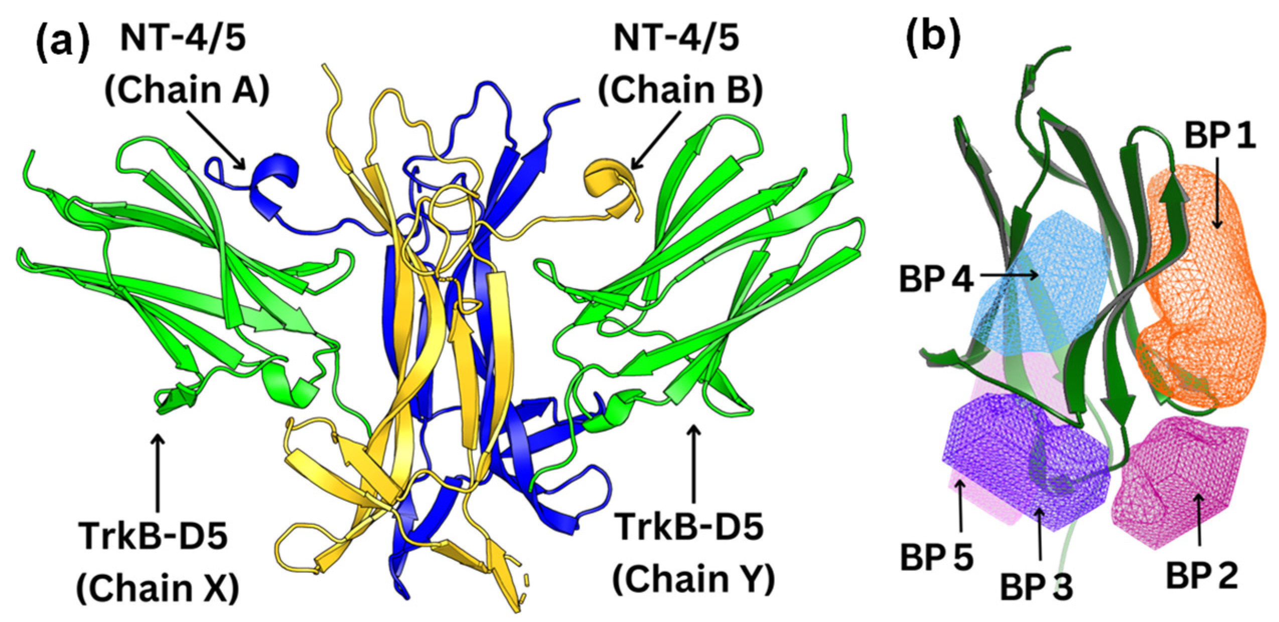 Molecules 29 03992 g002