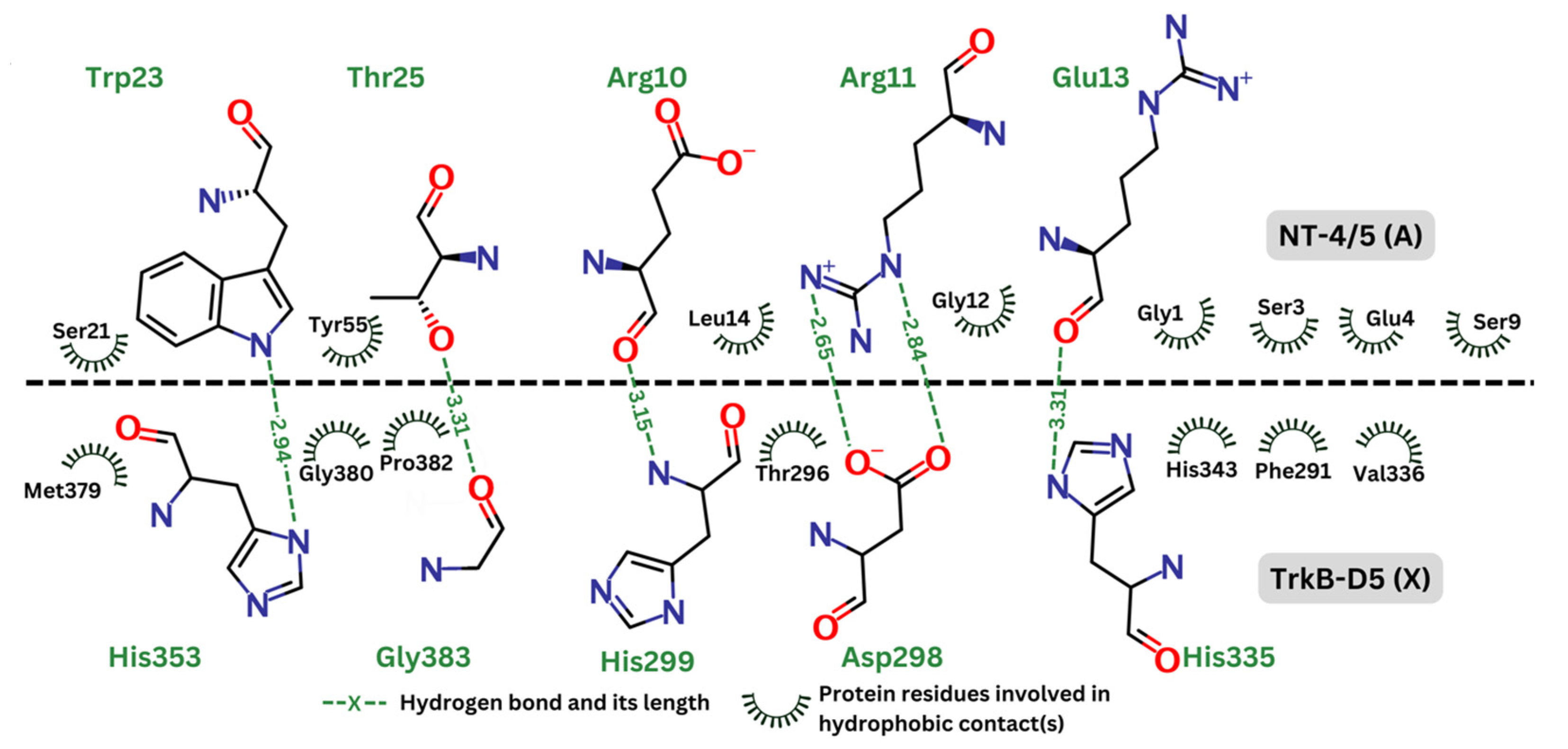 Molecules 29 03992 g005
