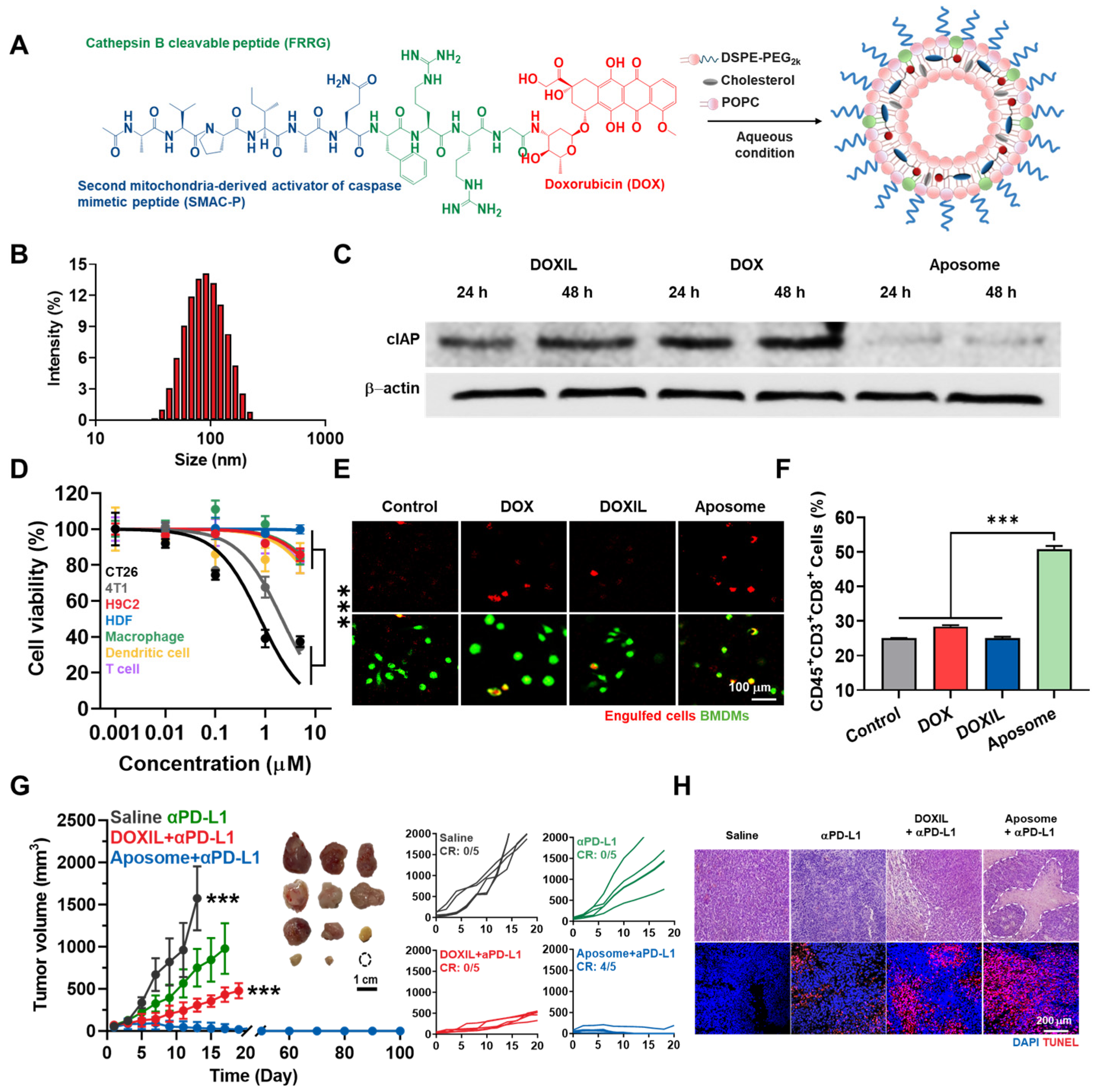Molecules 29 03994 g002 Molecules 29 03994 g002