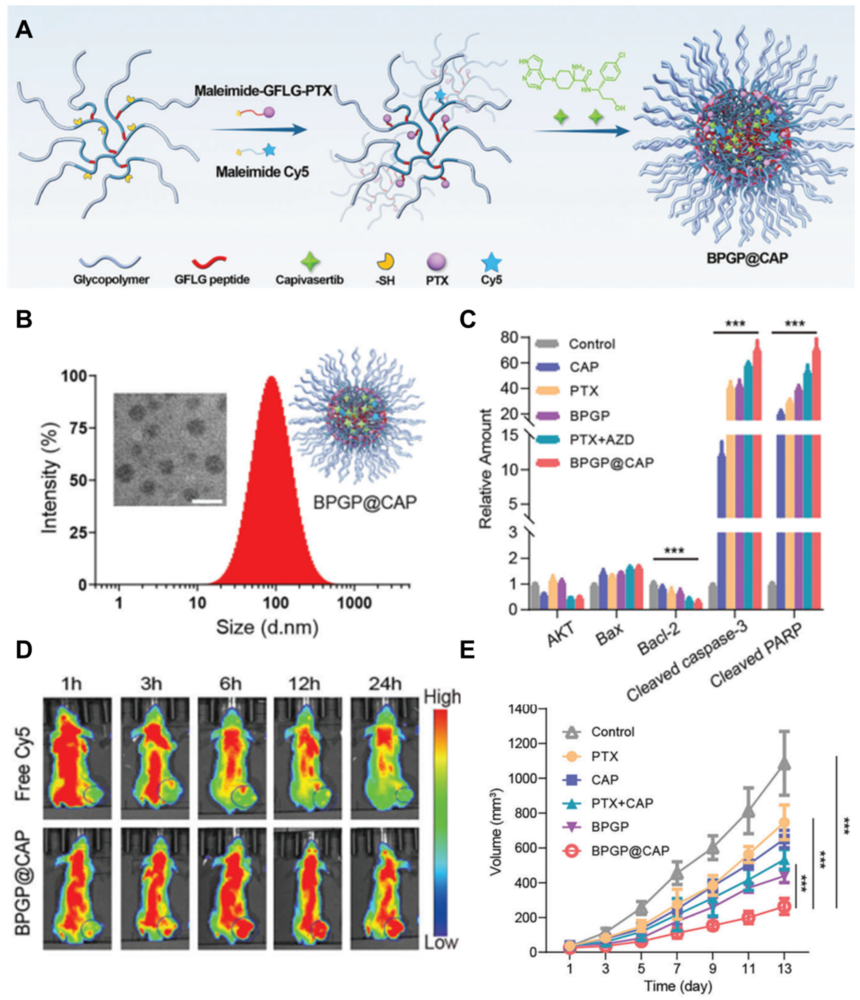 Molecules 29 03994 g003 Molecules 29 03994 g003