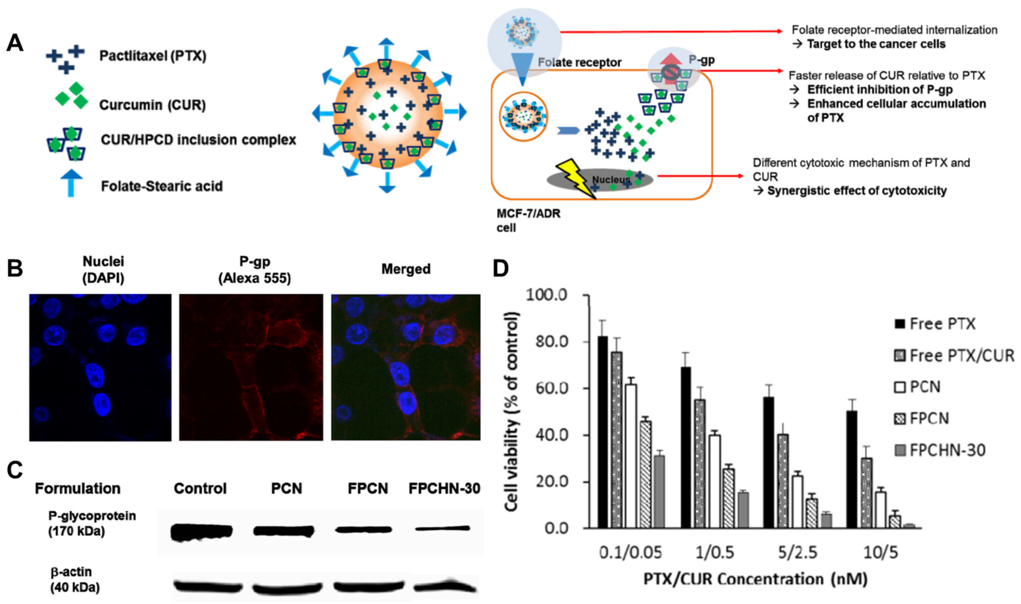 Molecules 29 03994 g004 Molecules 29 03994 g004