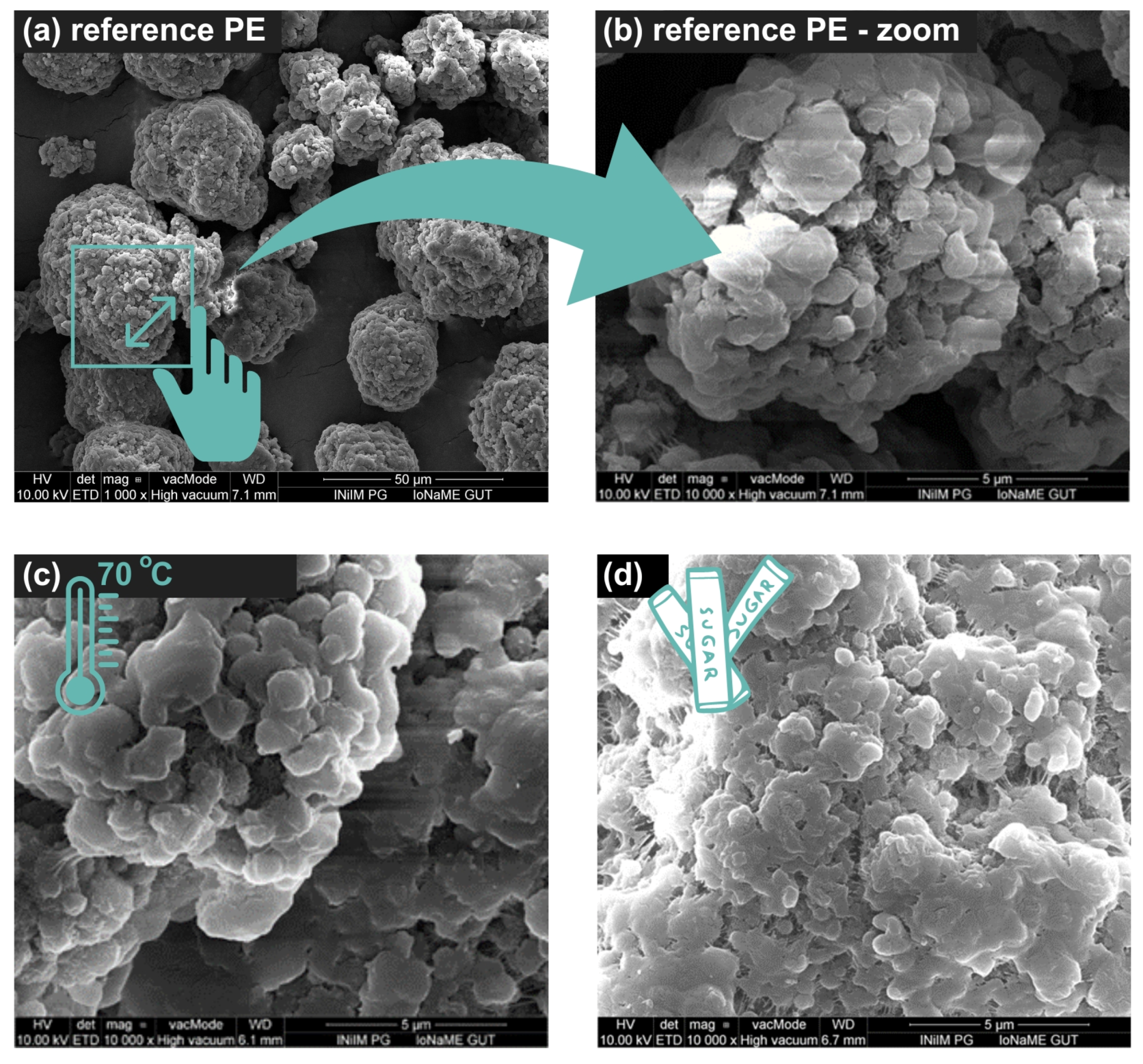Molecules 29 03996 g001
