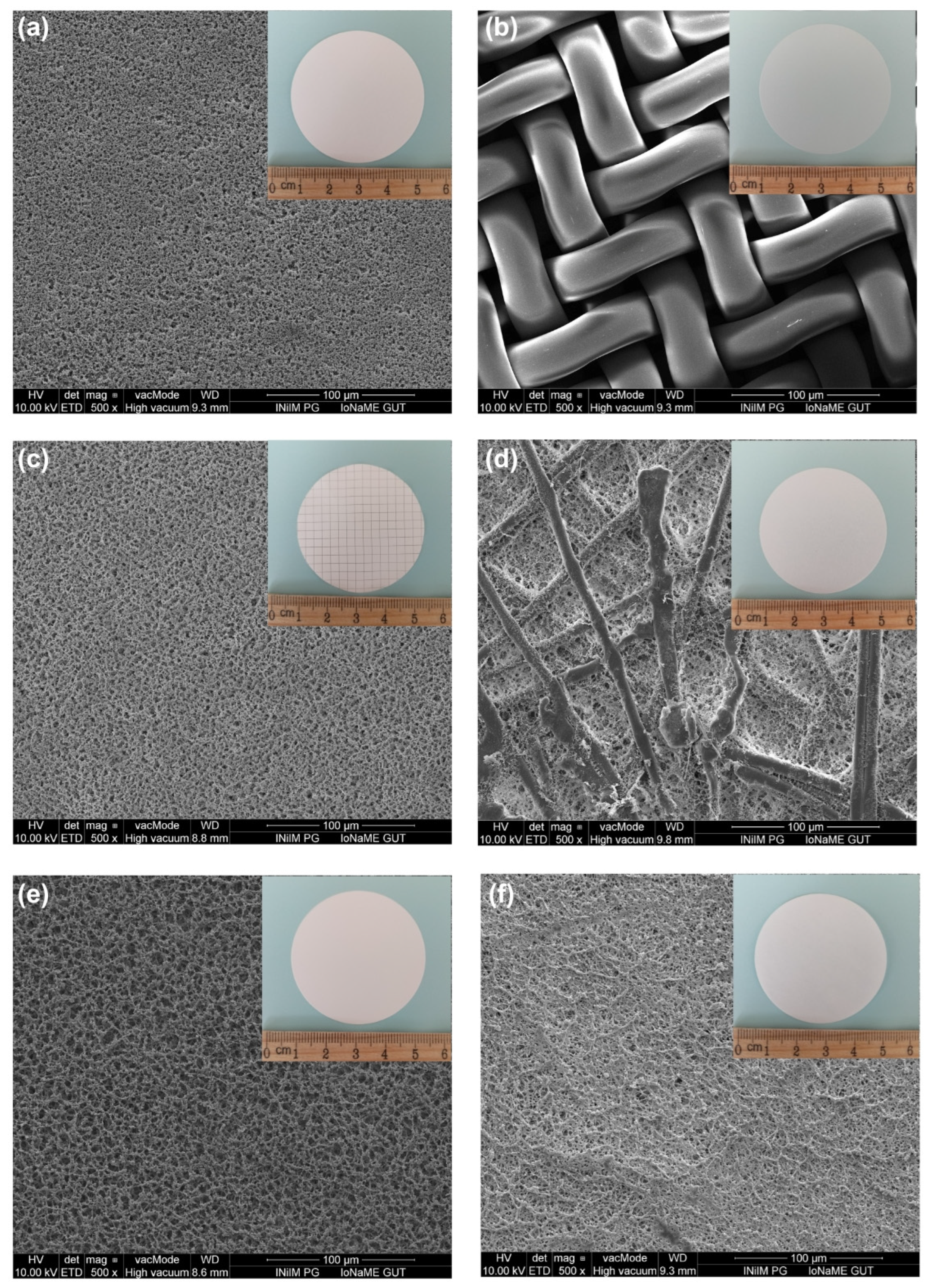 Molecules 29 03996 g004