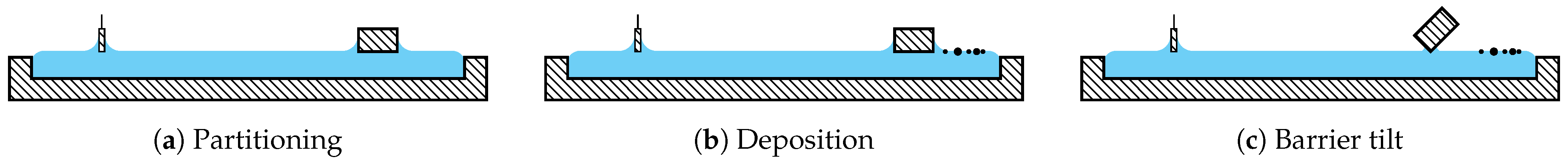Molecules 29 04004 g001