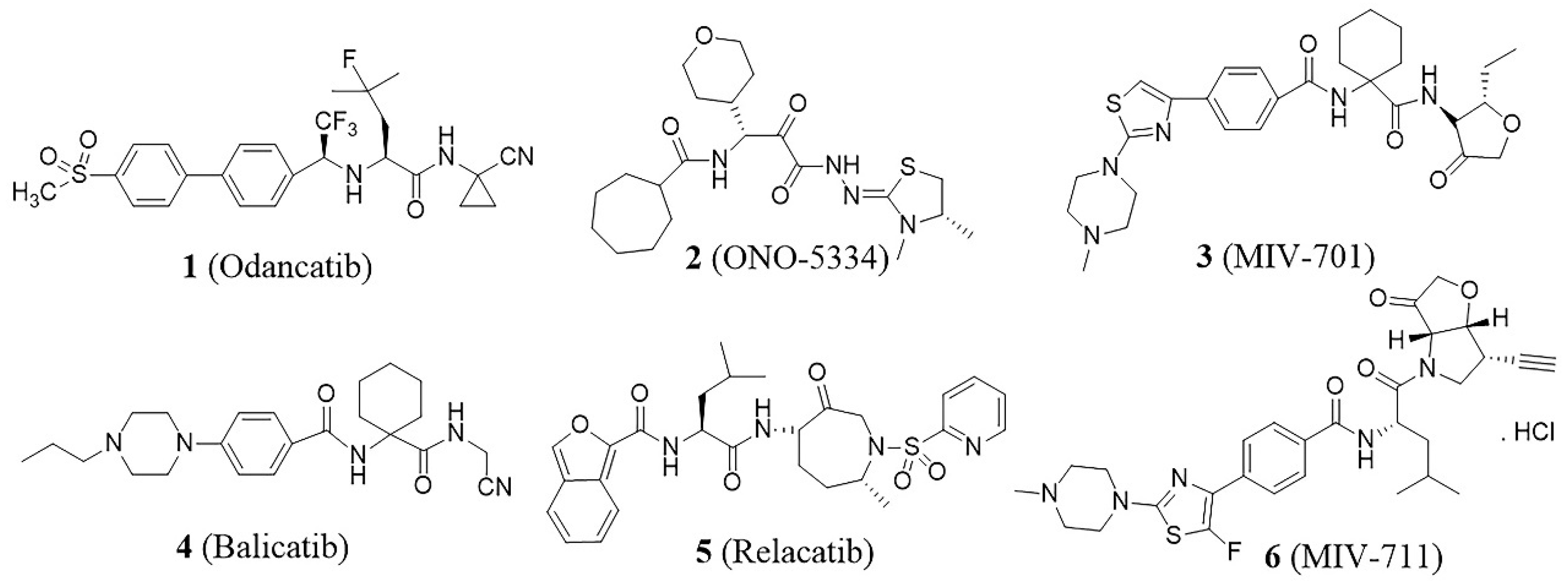 Molecules 29 04011 g001