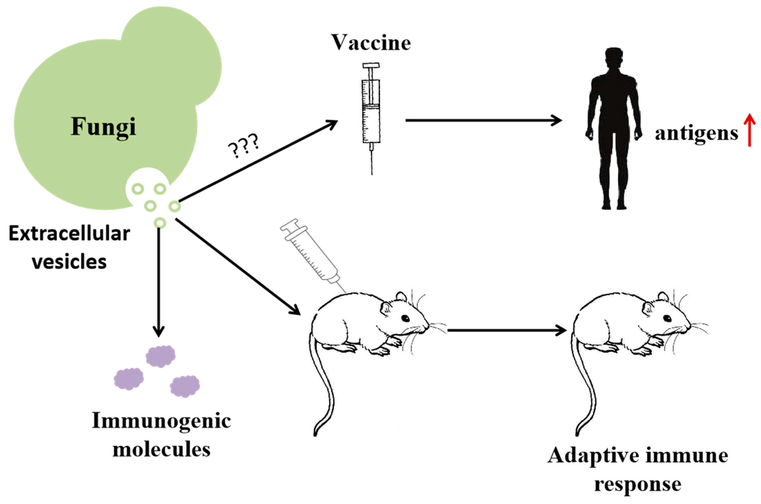 Molecules 29 04012 g003
