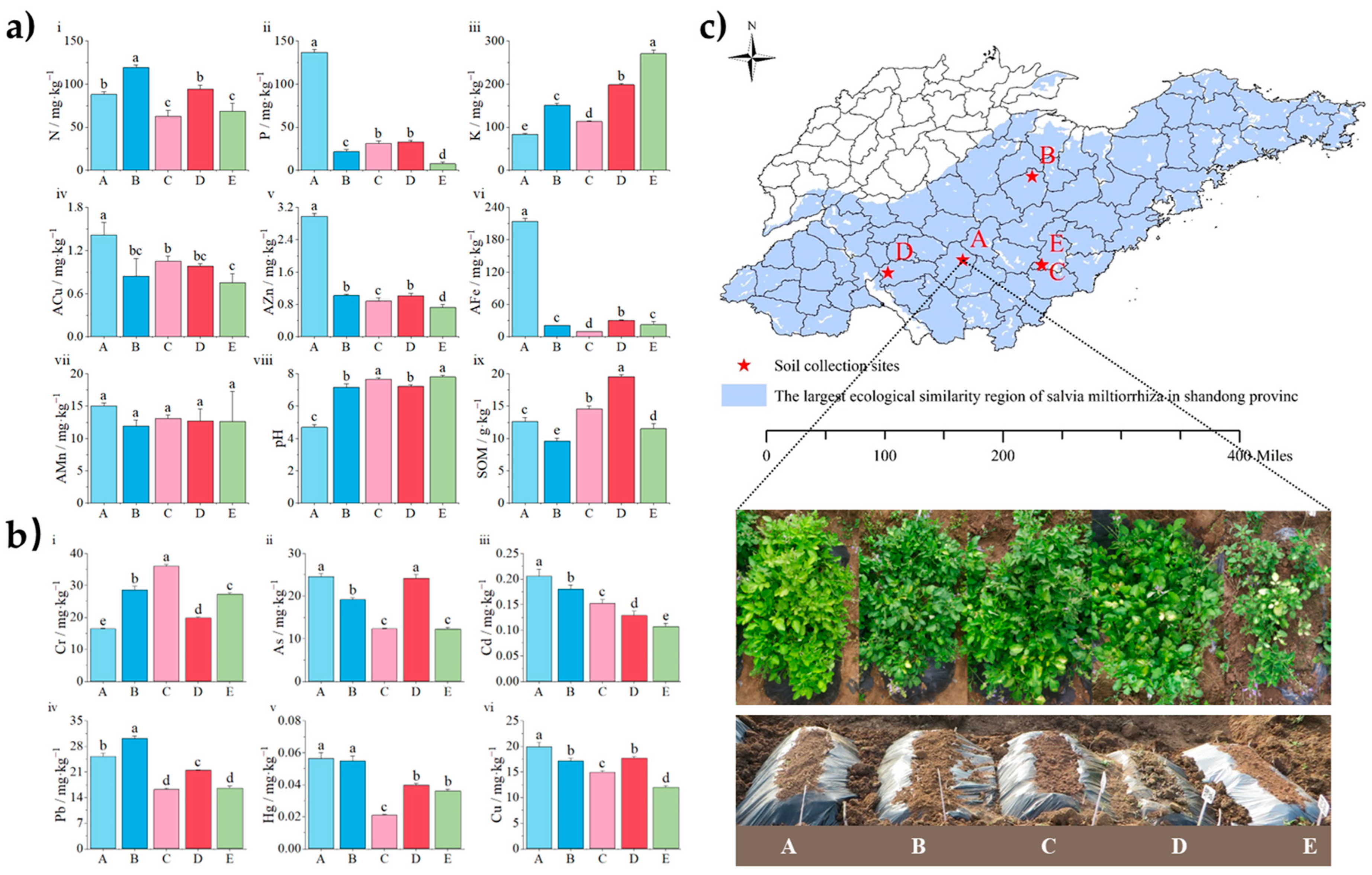 Molecules 29 04016 g001
