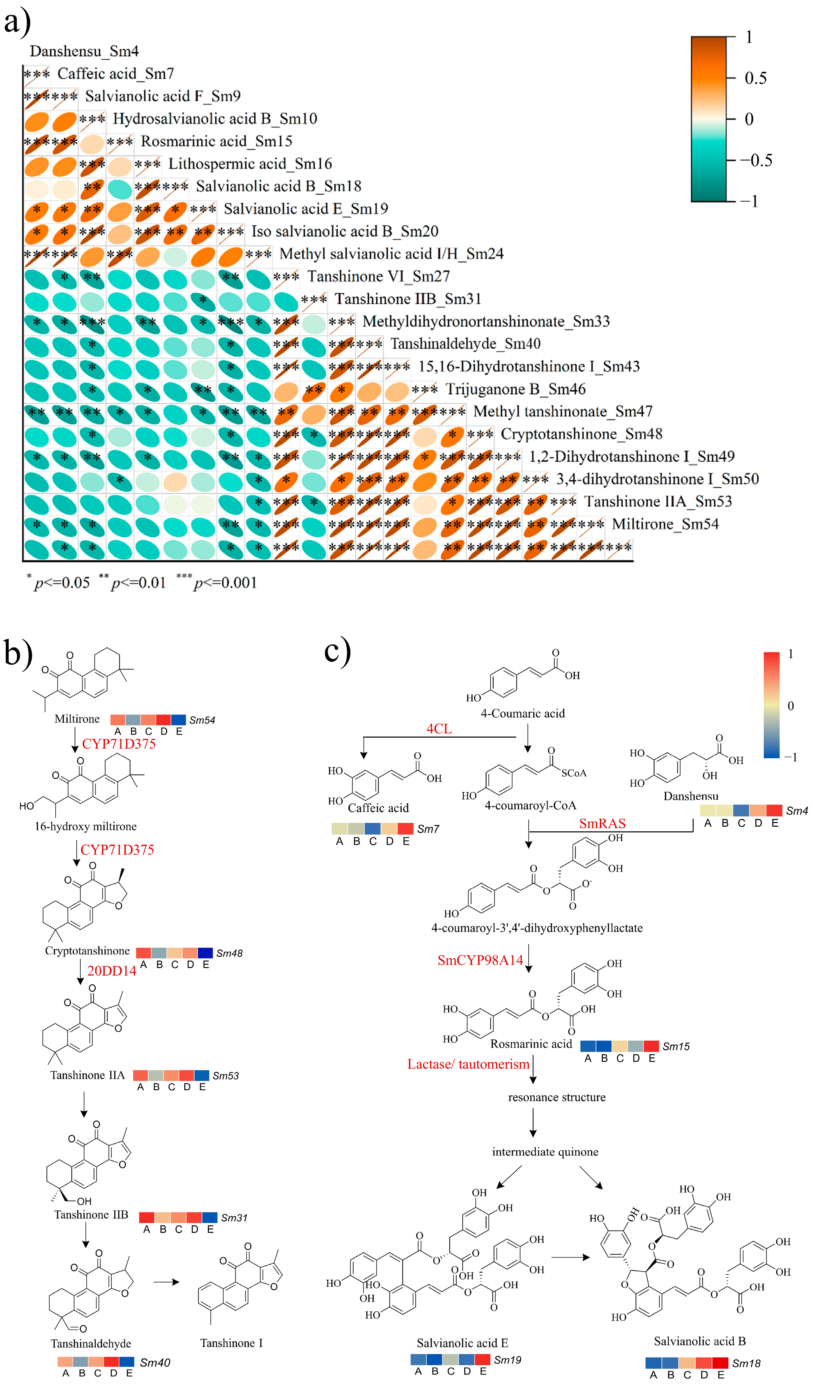 Molecules 29 04016 g003