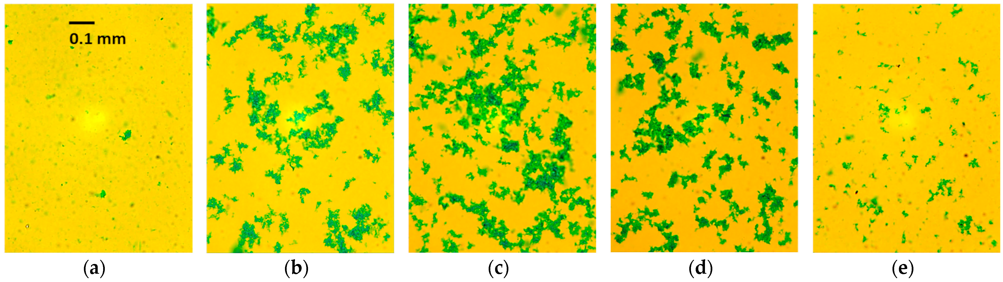 Molecules 29 04017 g003