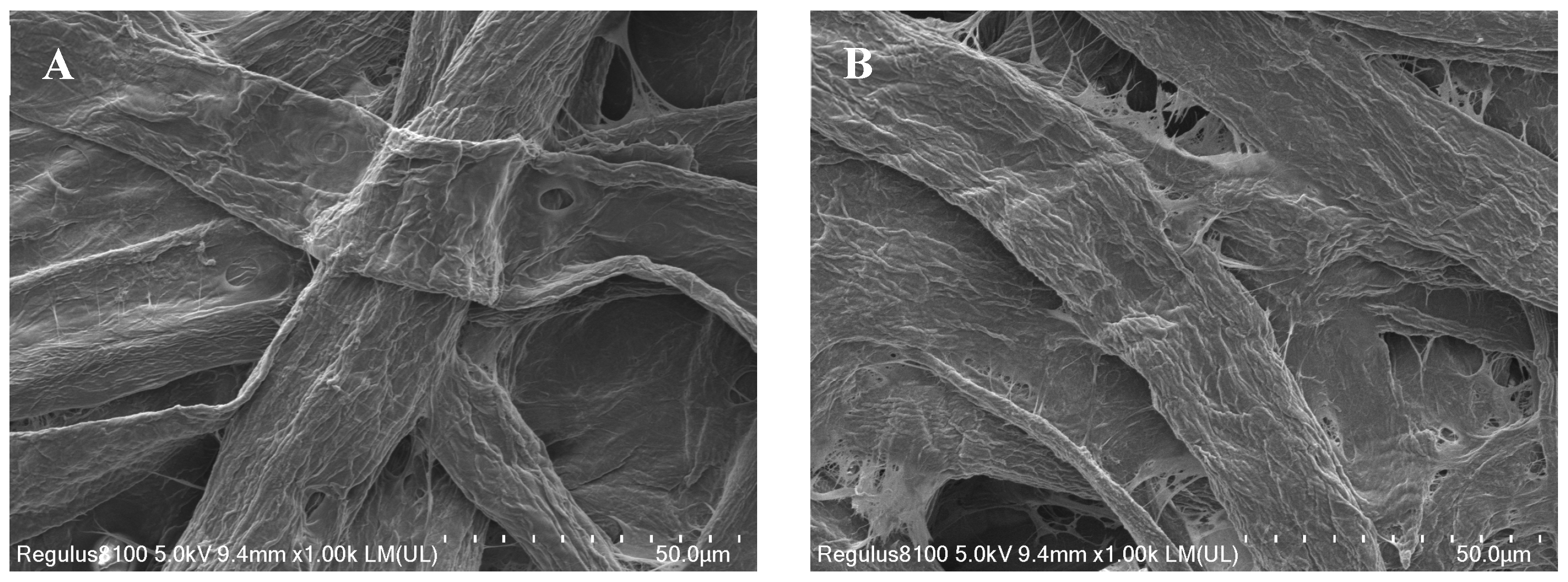 Molecules 29 04018 g001