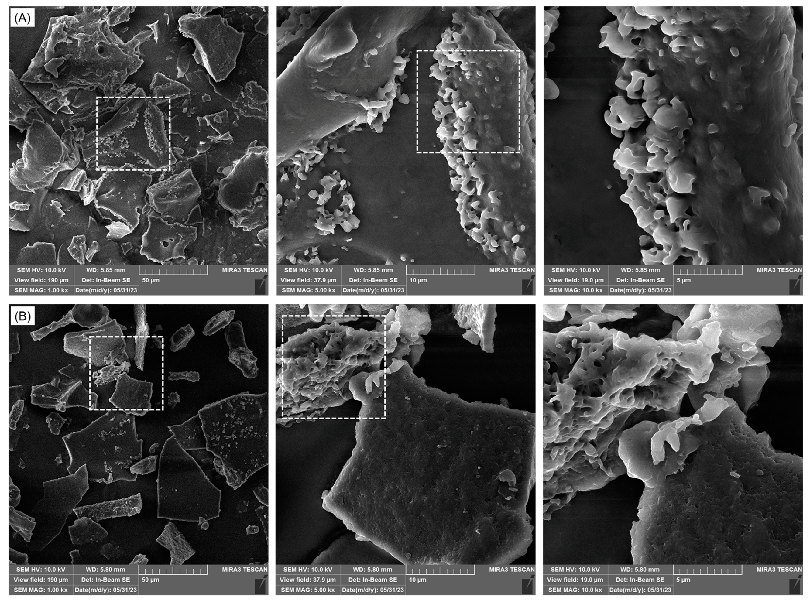 Molecules 29 04027 g005