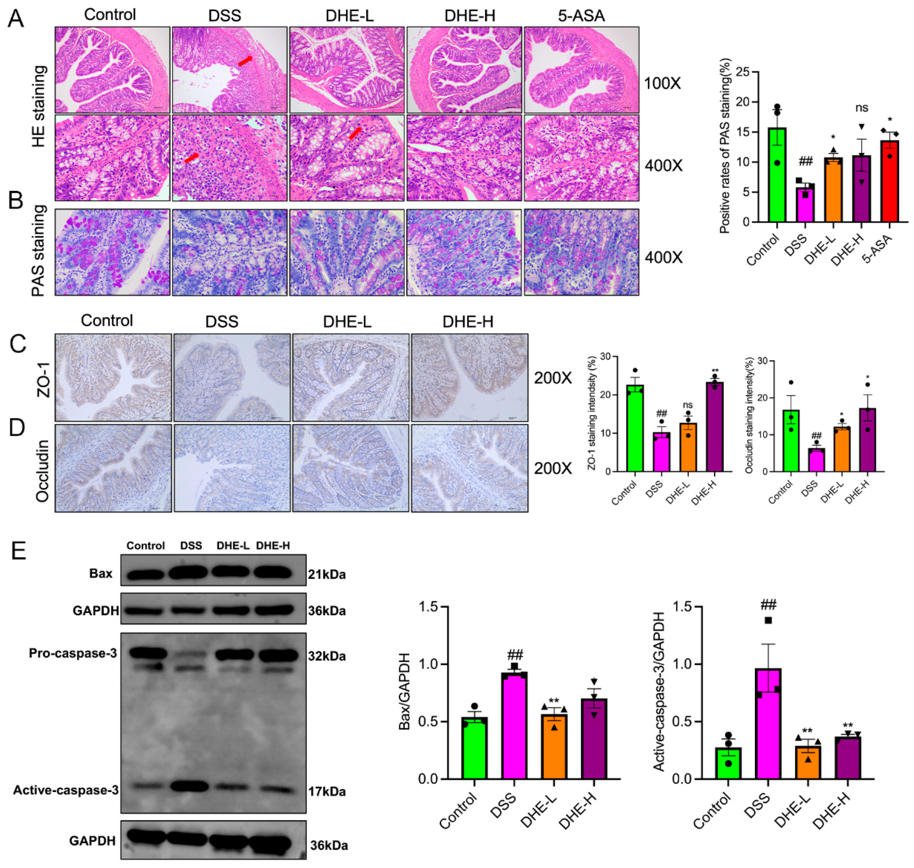 Molecules 29 04031 g002