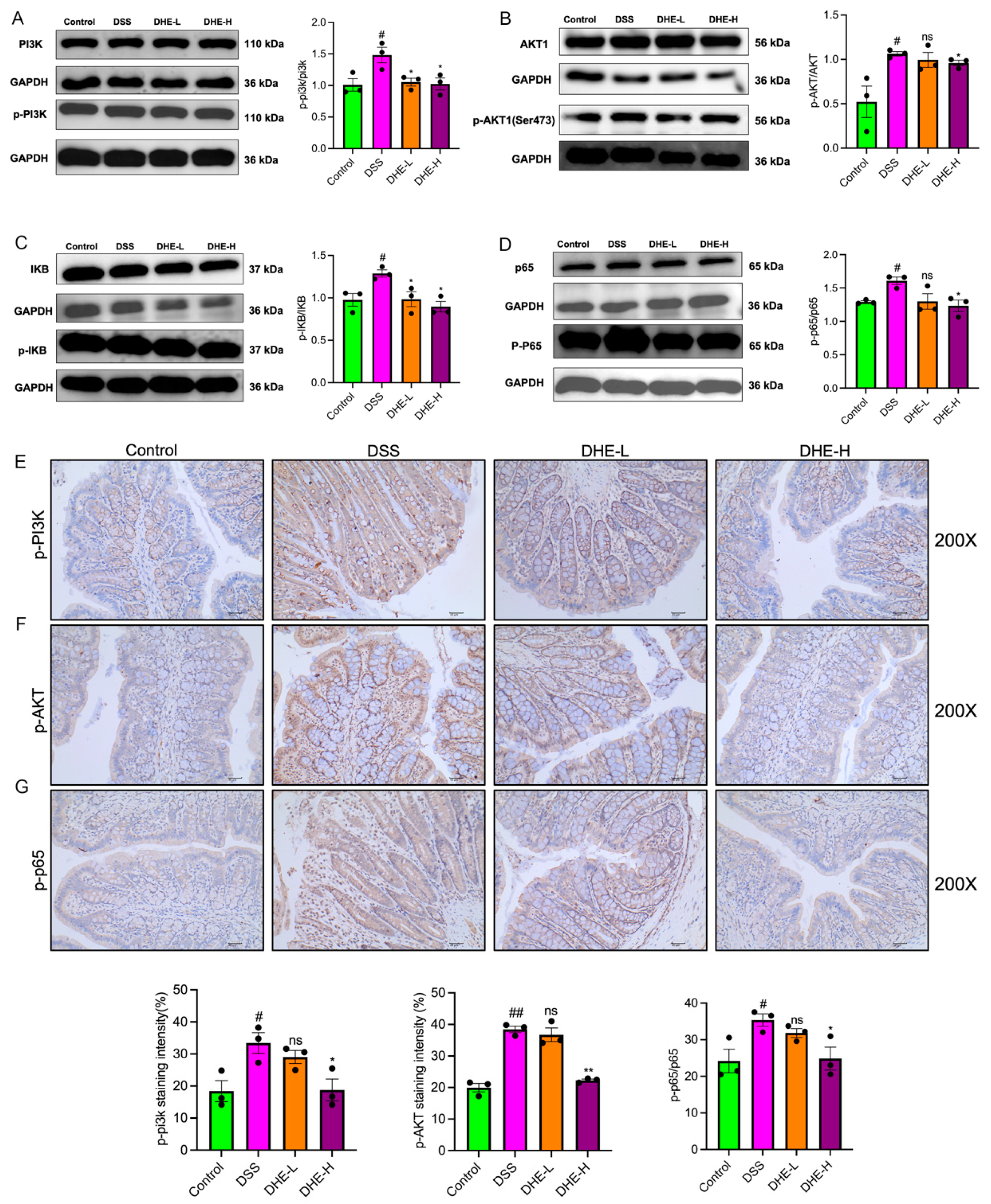Molecules 29 04031 g006