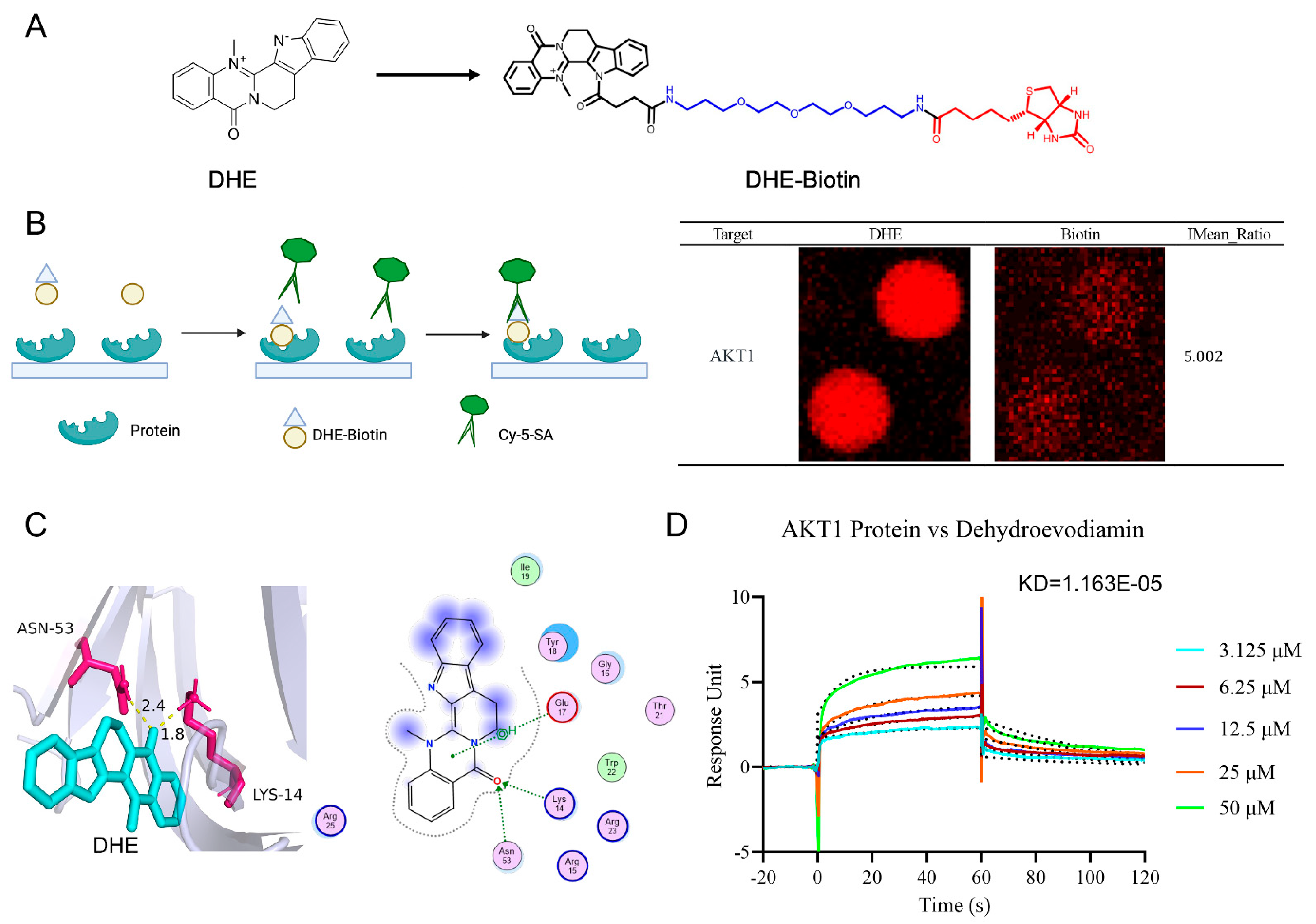 Molecules 29 04031 g007