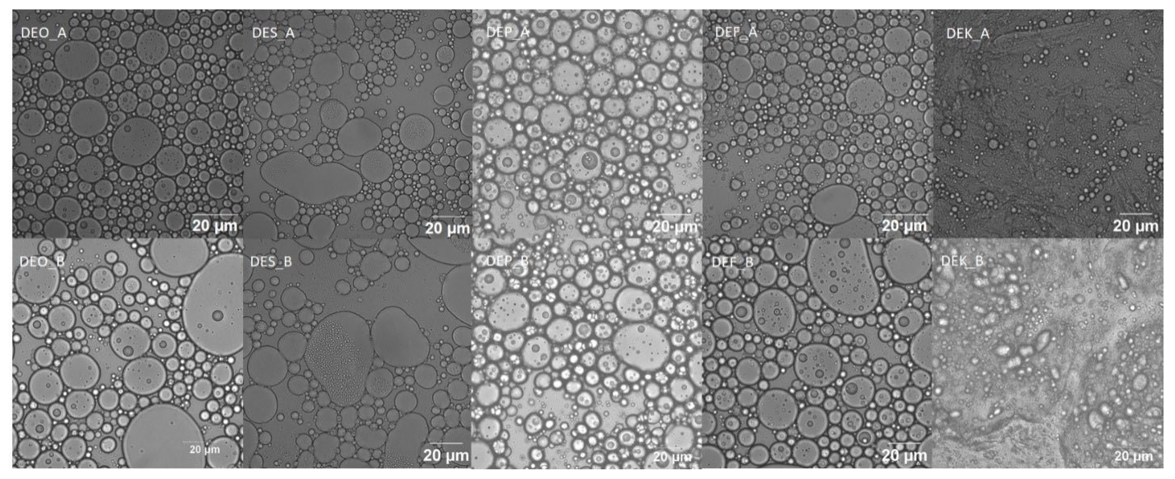 Molecules 29 04035 g007