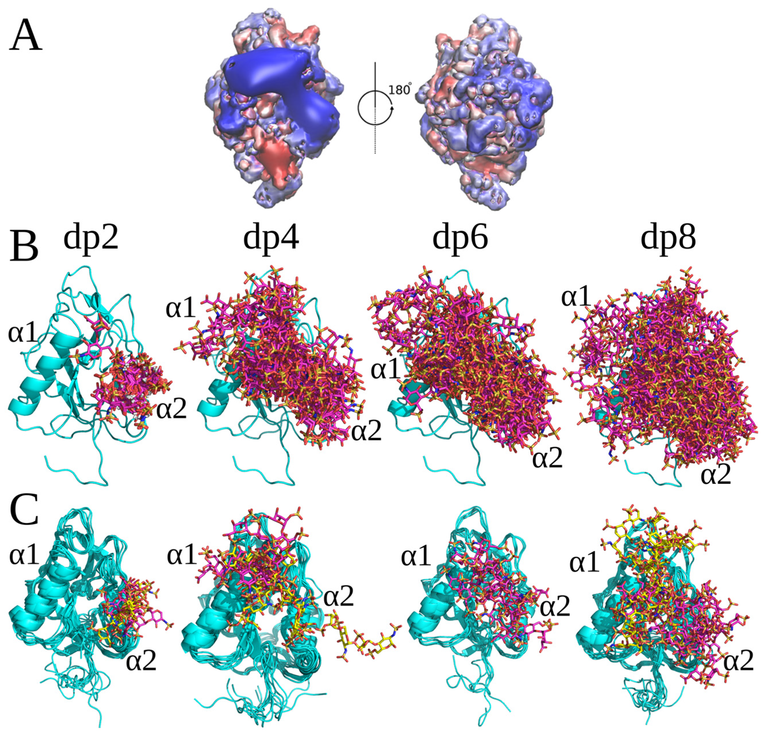 Molecules 29 04040 g001