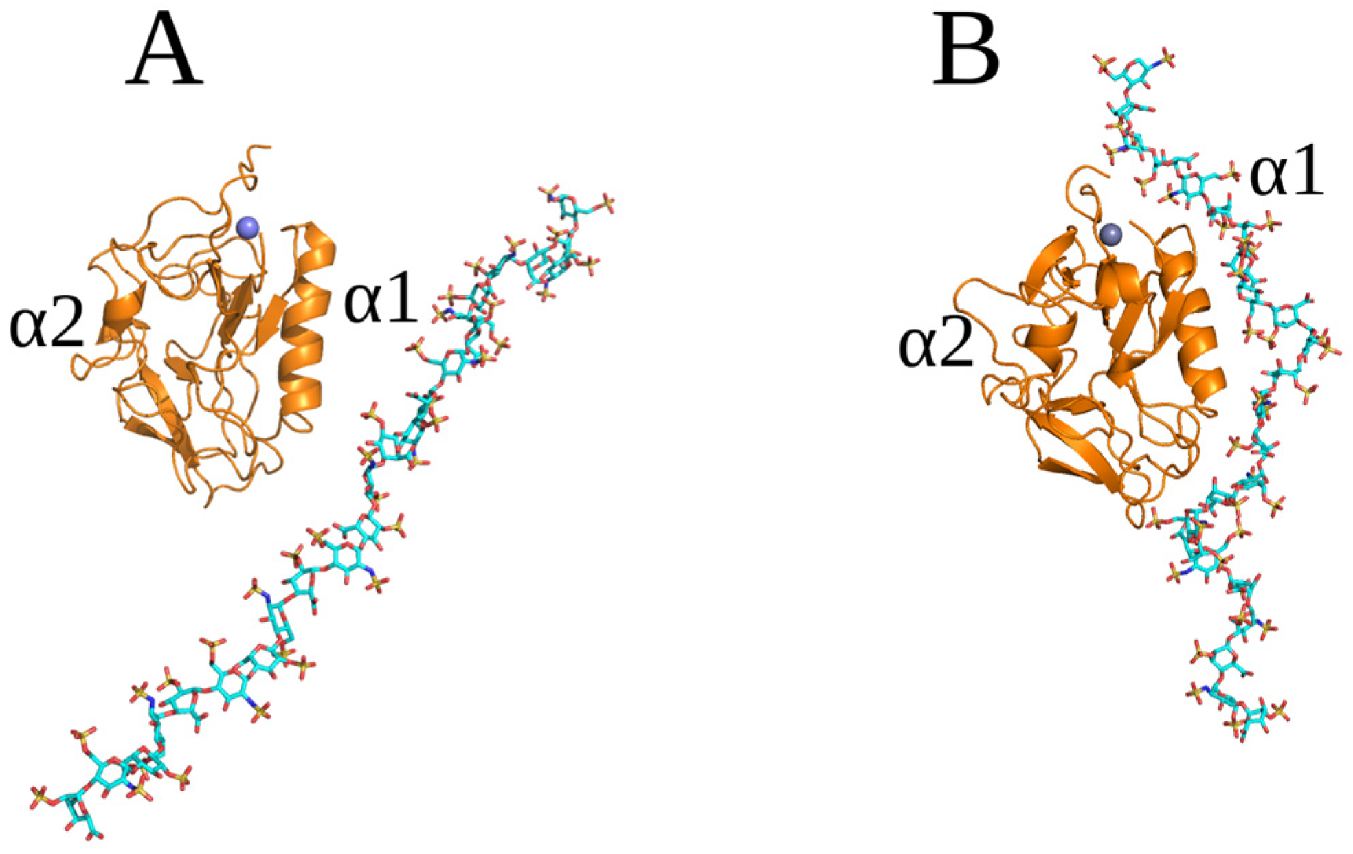 Molecules 29 04040 g006