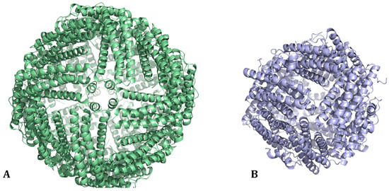 Bioactive Molecules Delivery through Ferritin Nanoparticles: Sum