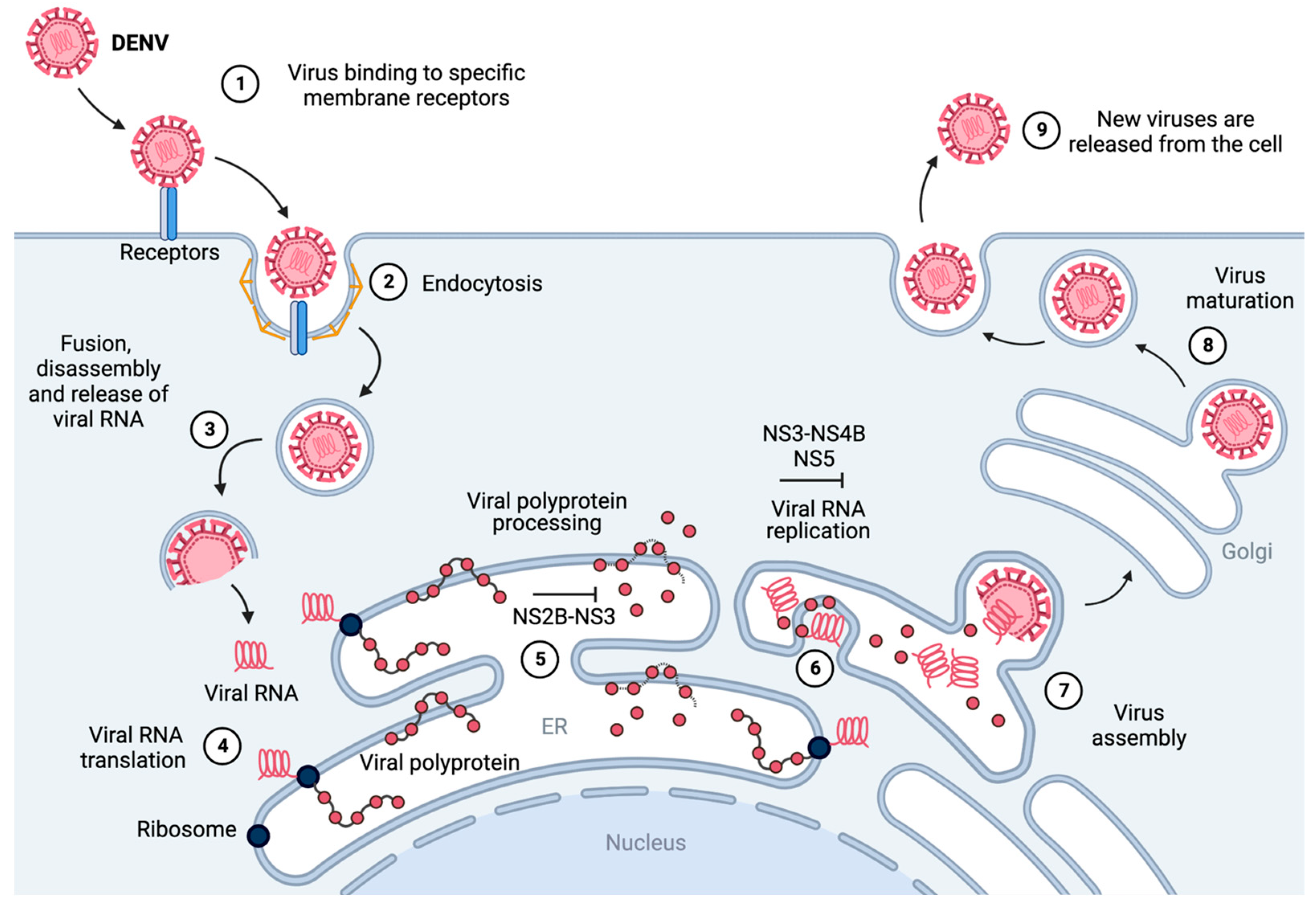 Molecules 29 04047 g001