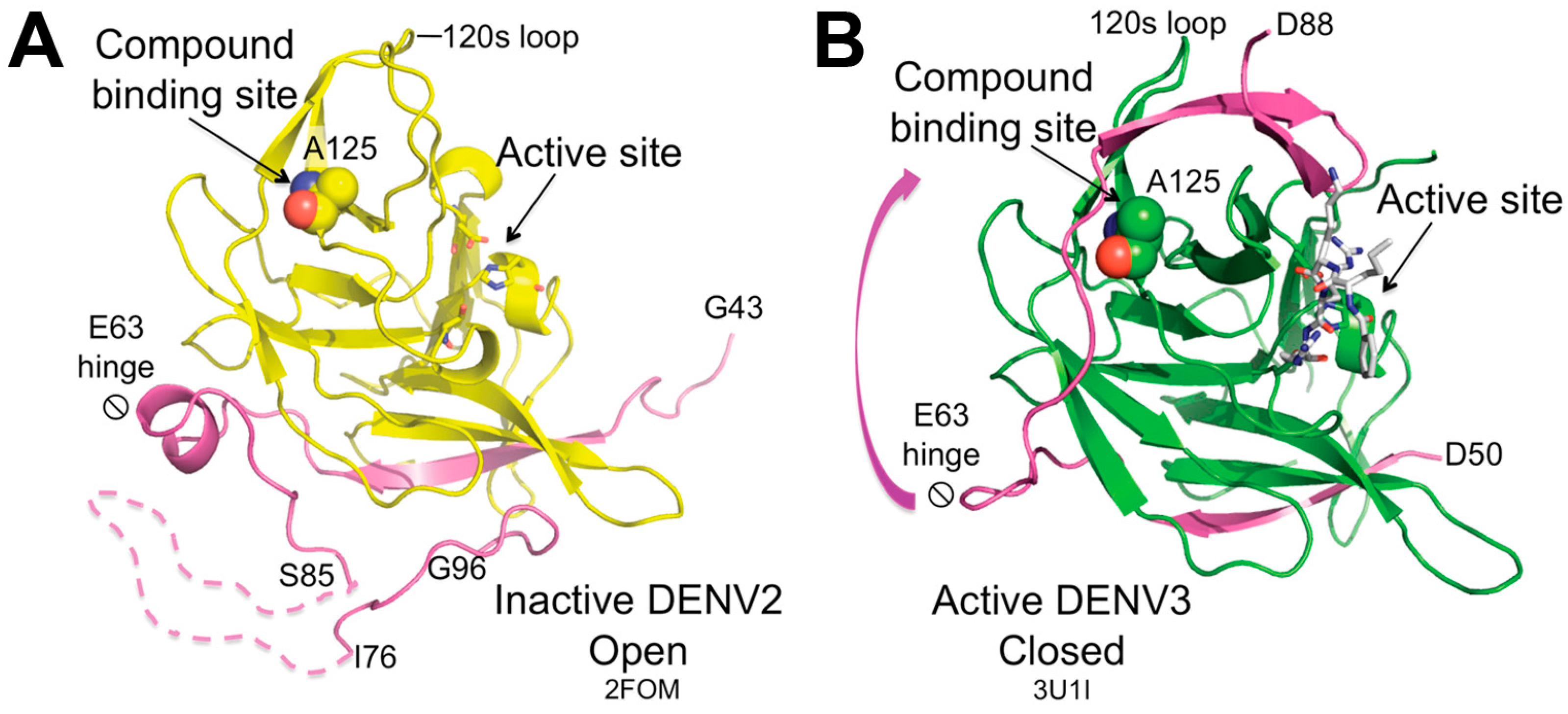 Molecules 29 04047 g005