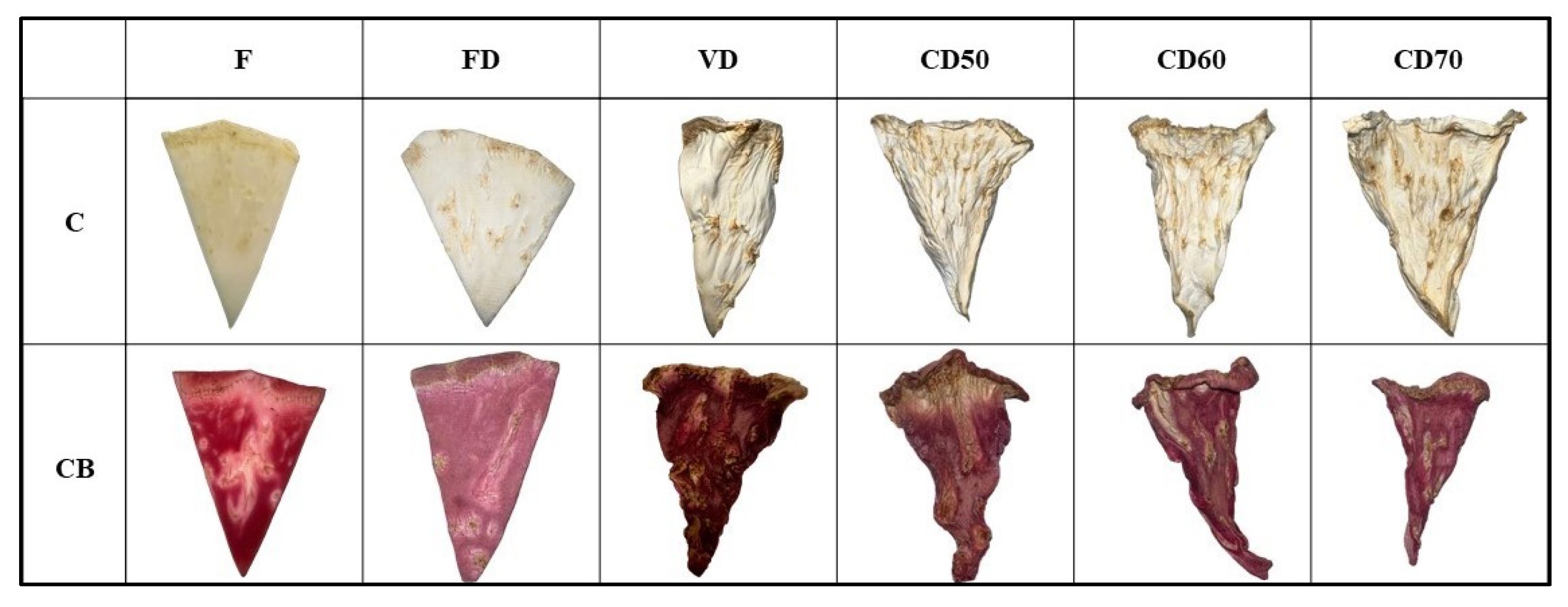 Molecules 29 04050 g006