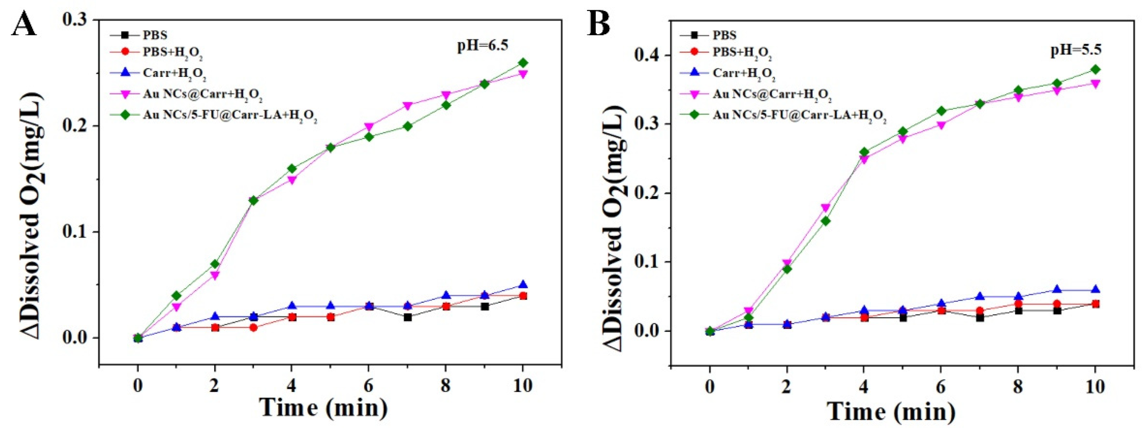 Molecules 29 04051 g004