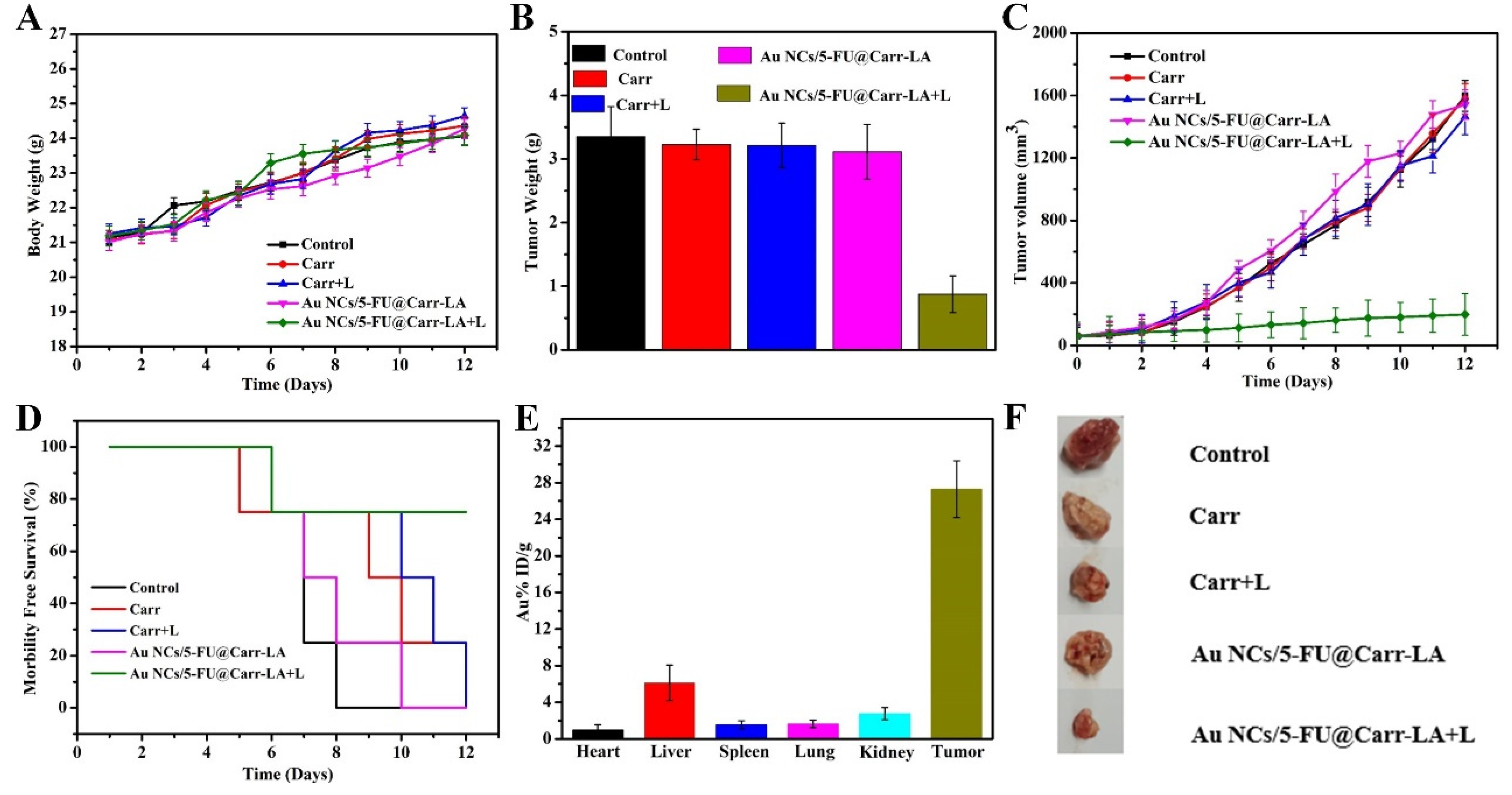 Molecules 29 04051 g008