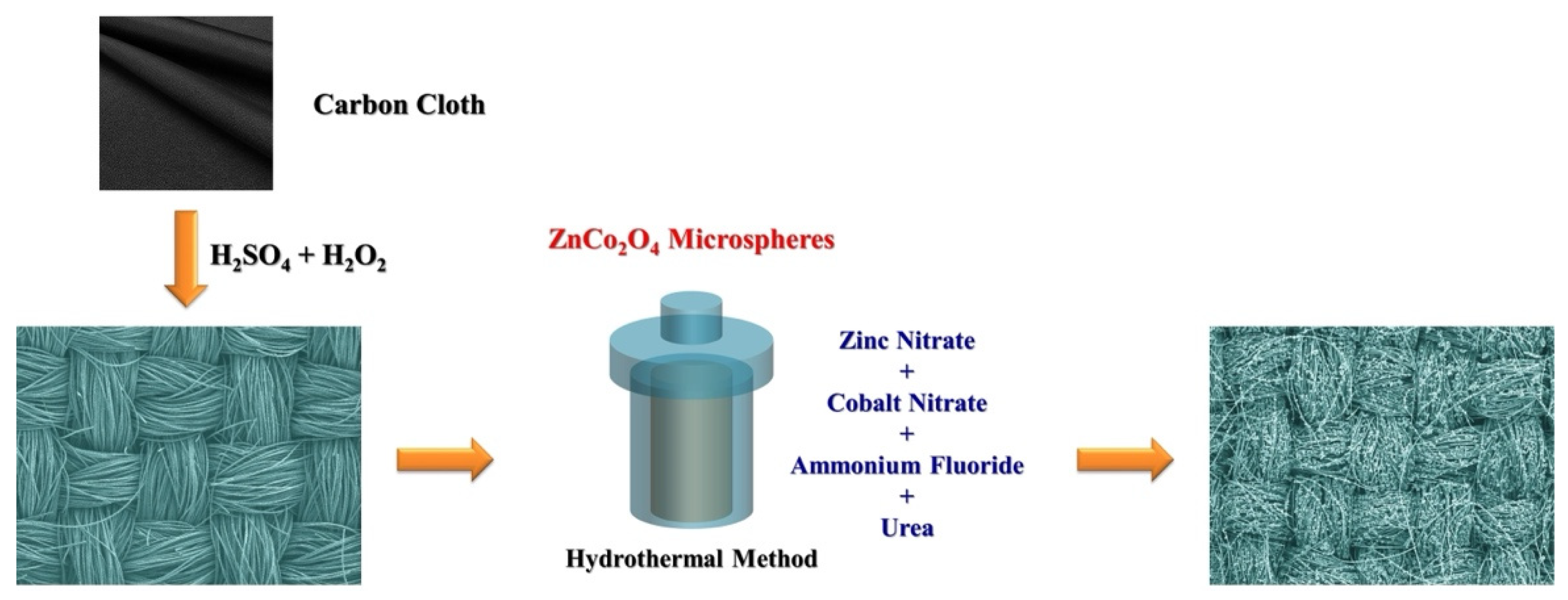 Molecules 29 04054 g001